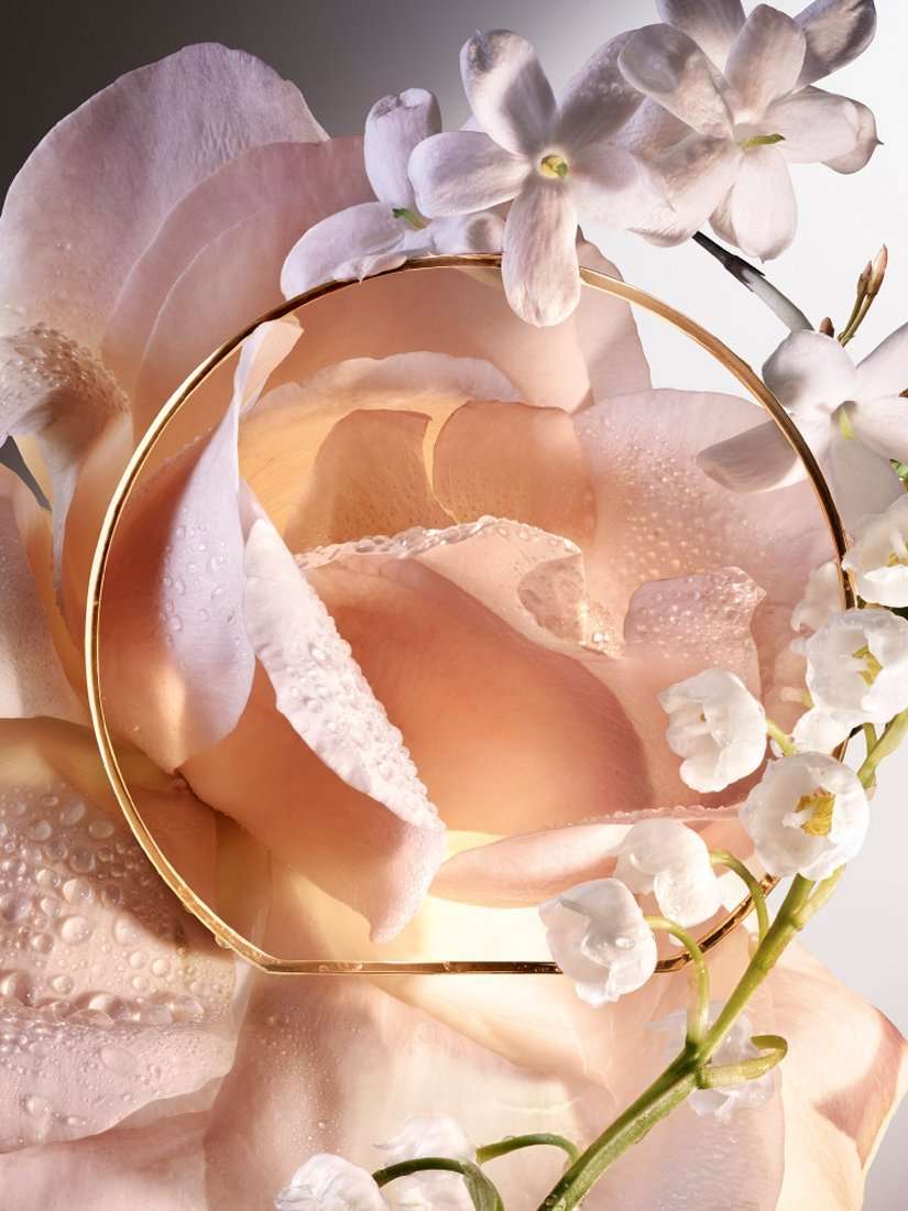 Absolue Les Parfums 6am Rose Eau de Parfum, 100ml