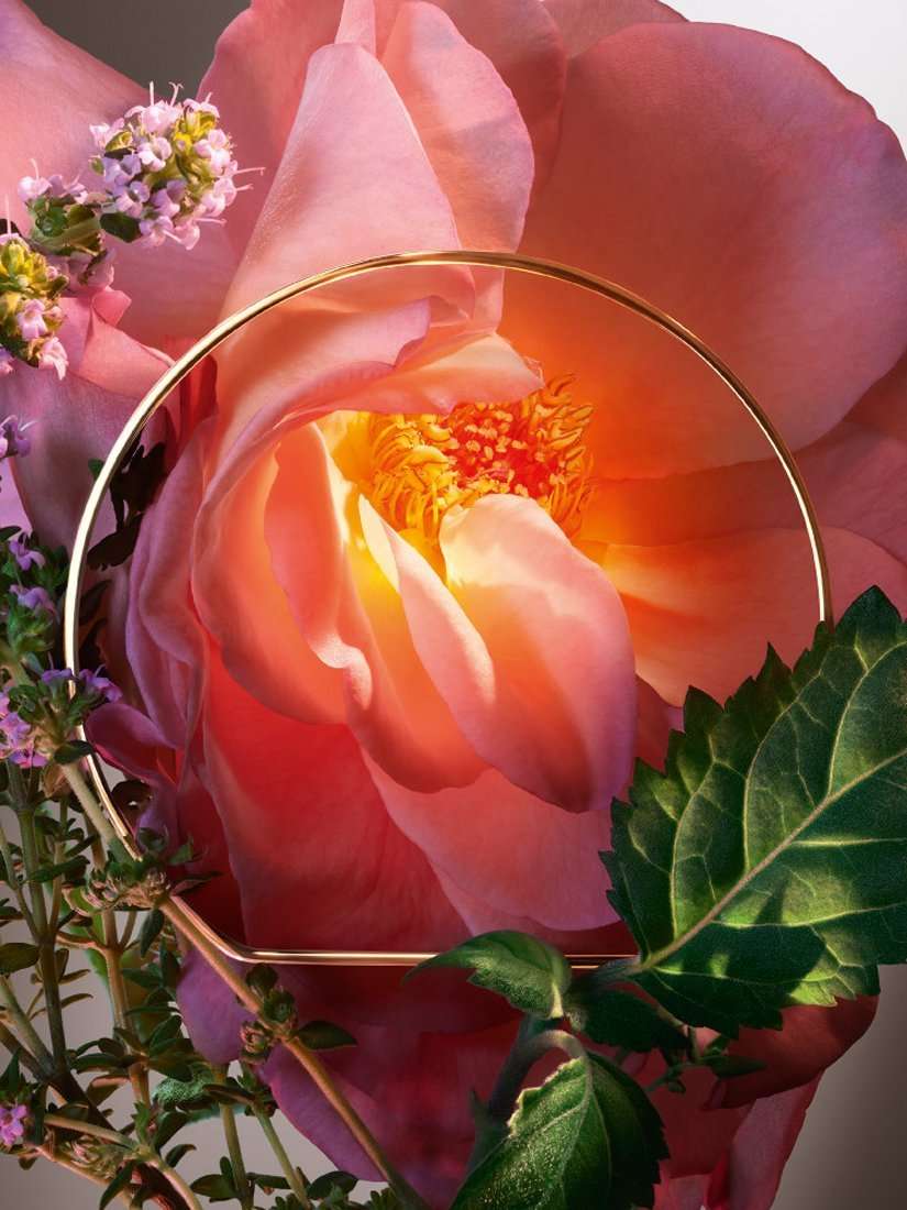 Absolue Les Parfums Hot As Rose Eau de Parfum, 100ml