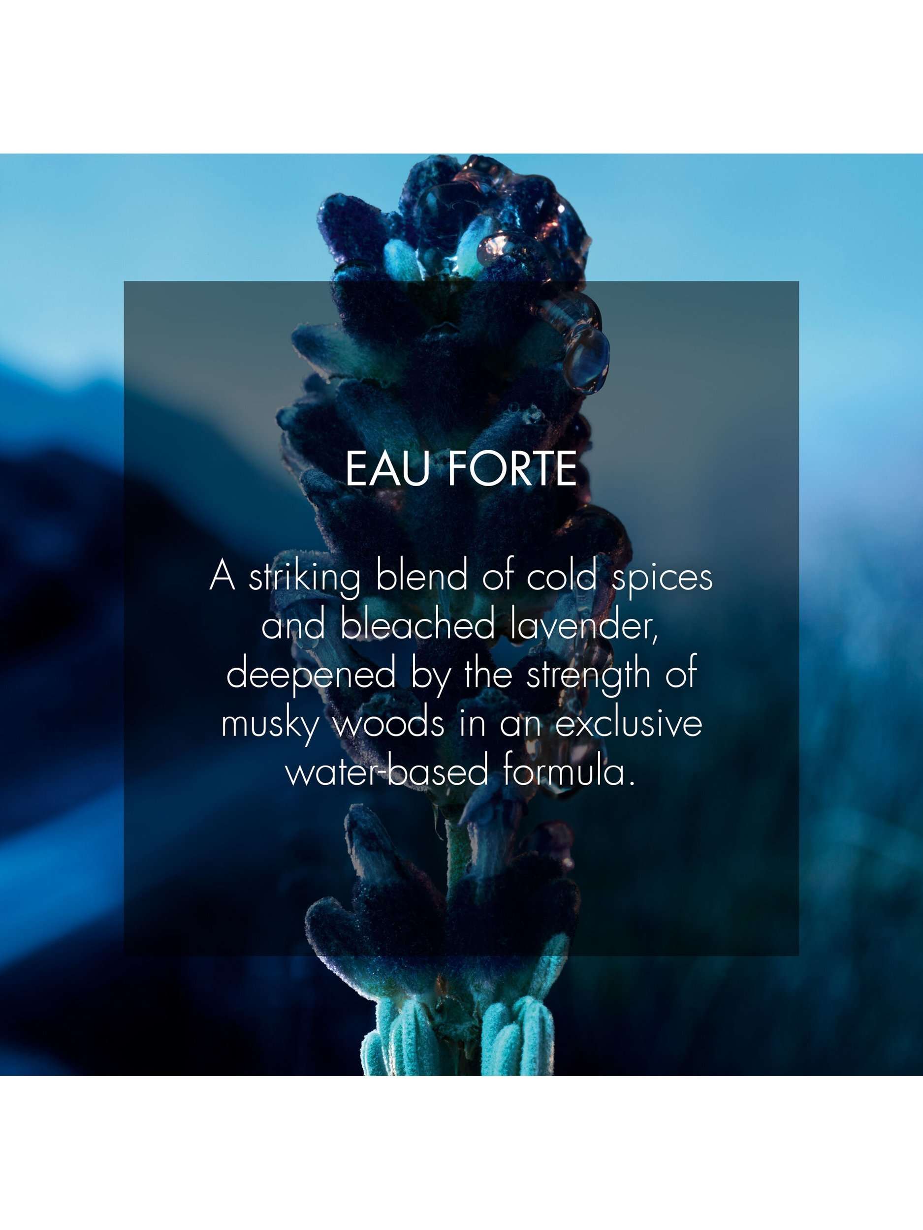 Sauvage Eau Forte Parfum