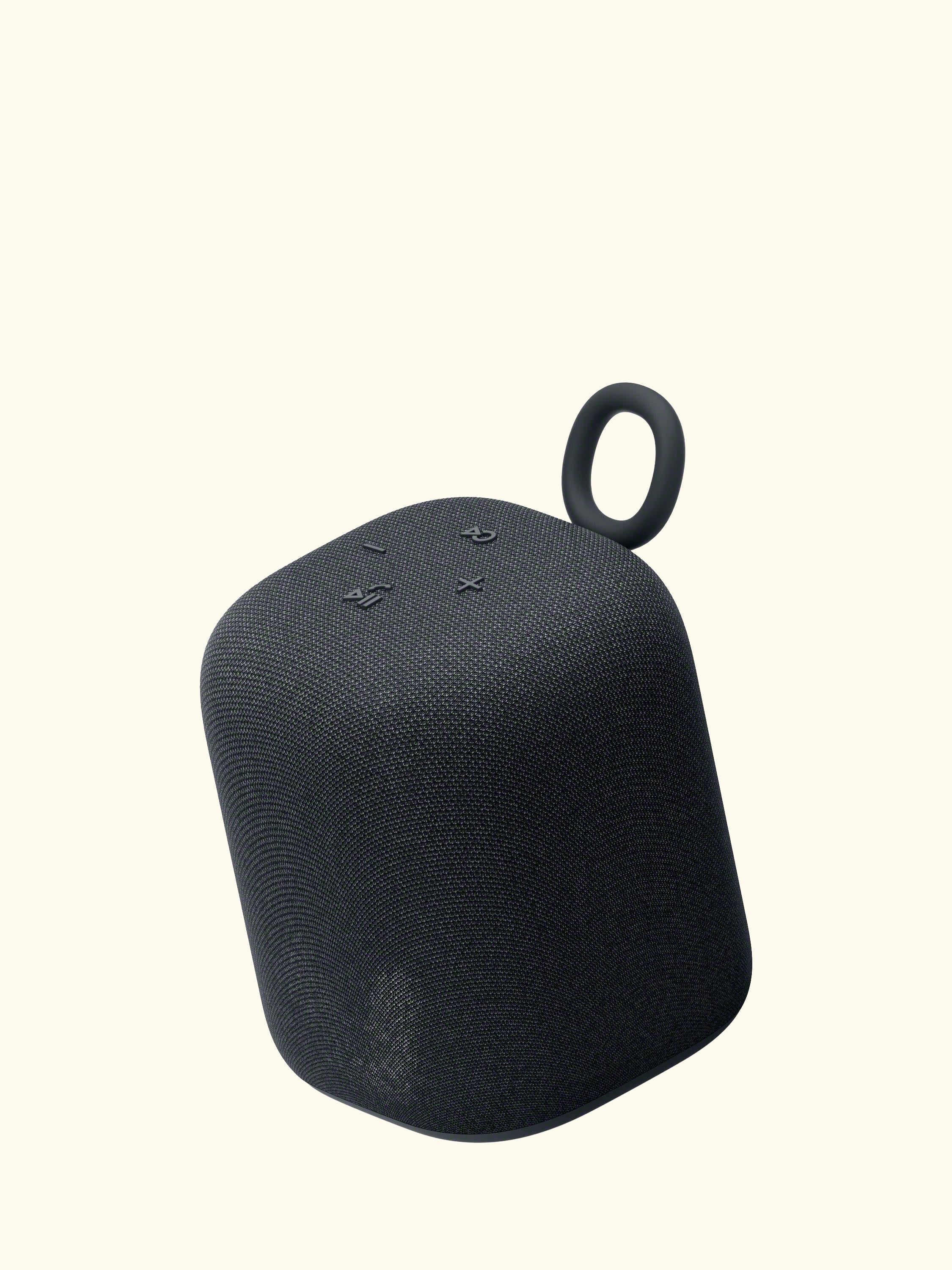 SRS-LS1 LinkBuds Speaker Bluetooth Portable Speaker