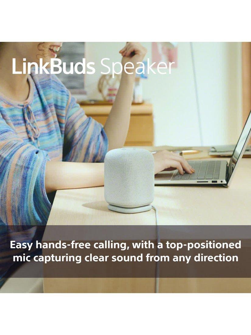 SRS-LS1 LinkBuds Speaker Bluetooth Portable Speaker