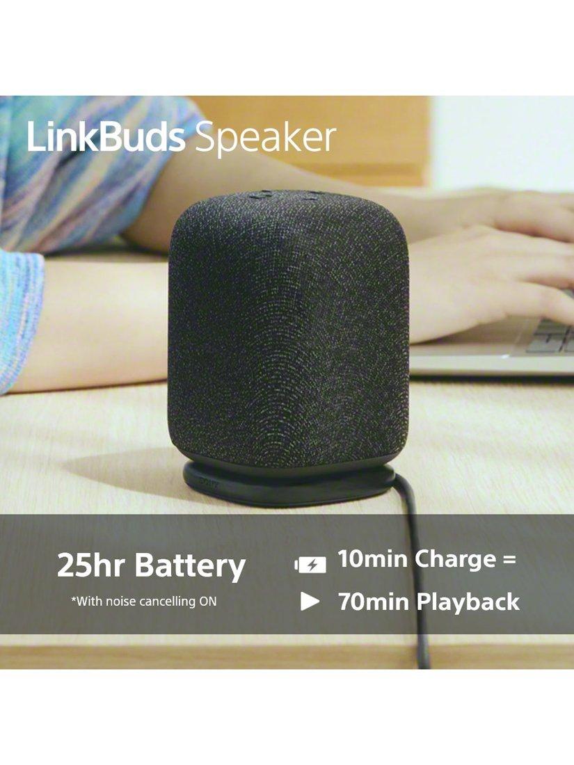 SRS-LS1 LinkBuds Speaker Bluetooth Portable Speaker