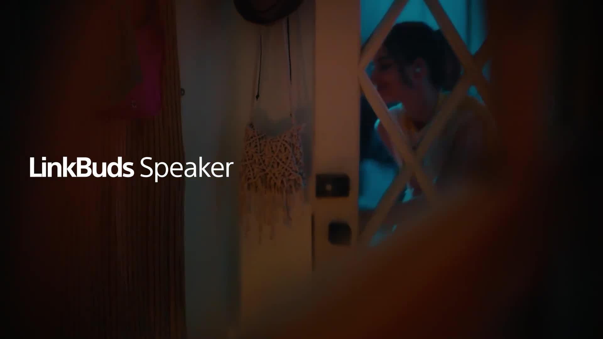 SRS-LS1 LinkBuds Speaker Bluetooth Portable Speaker