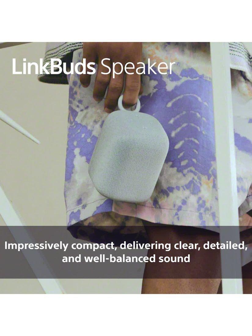 SRS-LS1 LinkBuds Speaker Bluetooth Portable Speaker