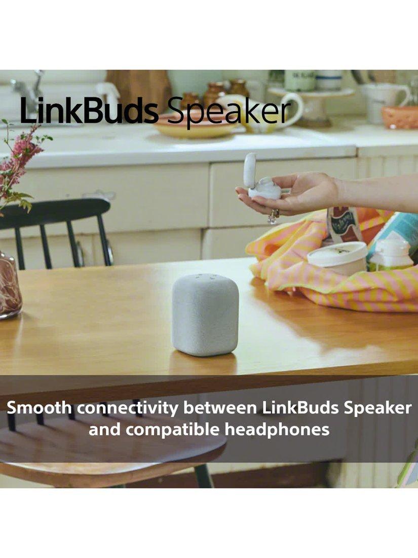 SRS-LS1 LinkBuds Speaker Bluetooth Portable Speaker