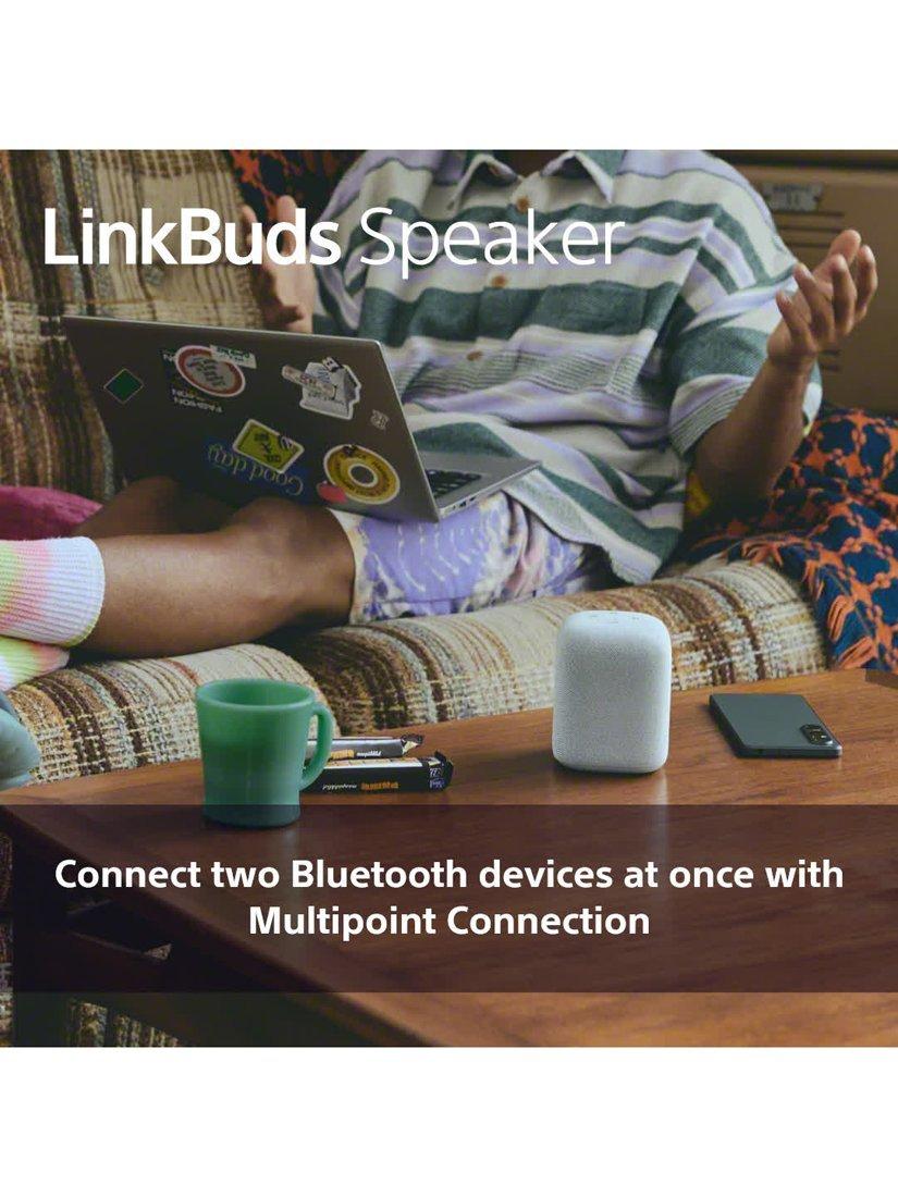 SRS-LS1 LinkBuds Speaker Bluetooth Portable Speaker