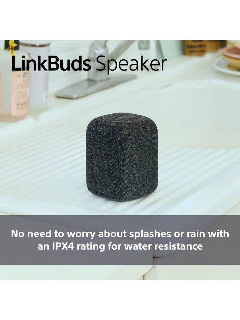 SRS-LS1 LinkBuds Speaker Bluetooth Portable Speaker