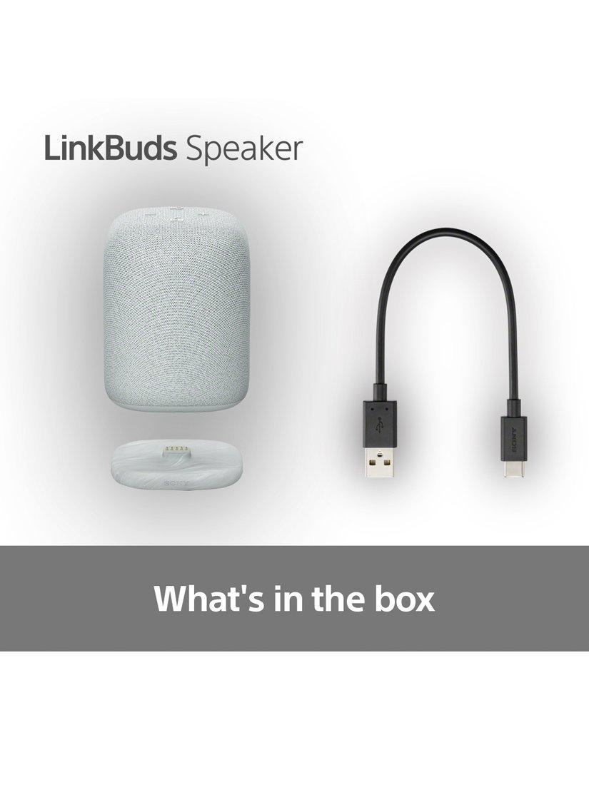 SRS-LS1 LinkBuds Speaker Bluetooth Portable Speaker