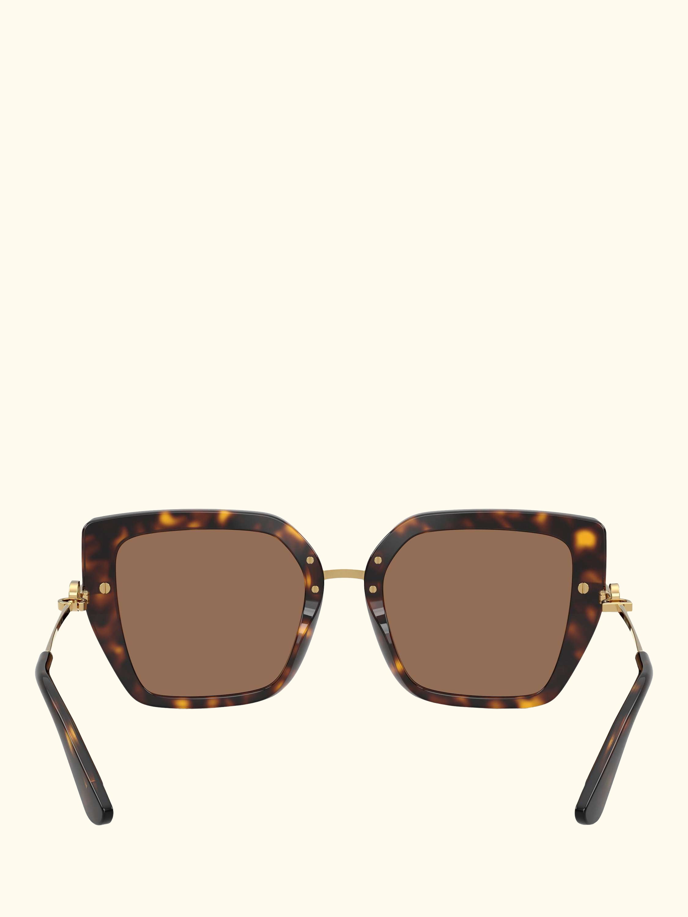 DG4474 Women's Square Sunglasses, Havana