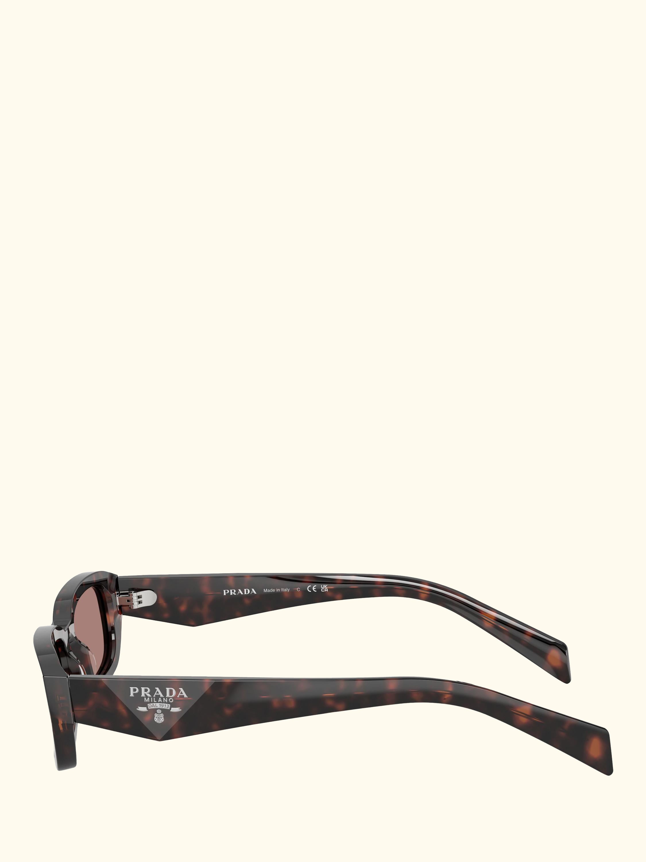 PR B06S Women's Rectangular Sunglasses, Root Tortoise/Brown