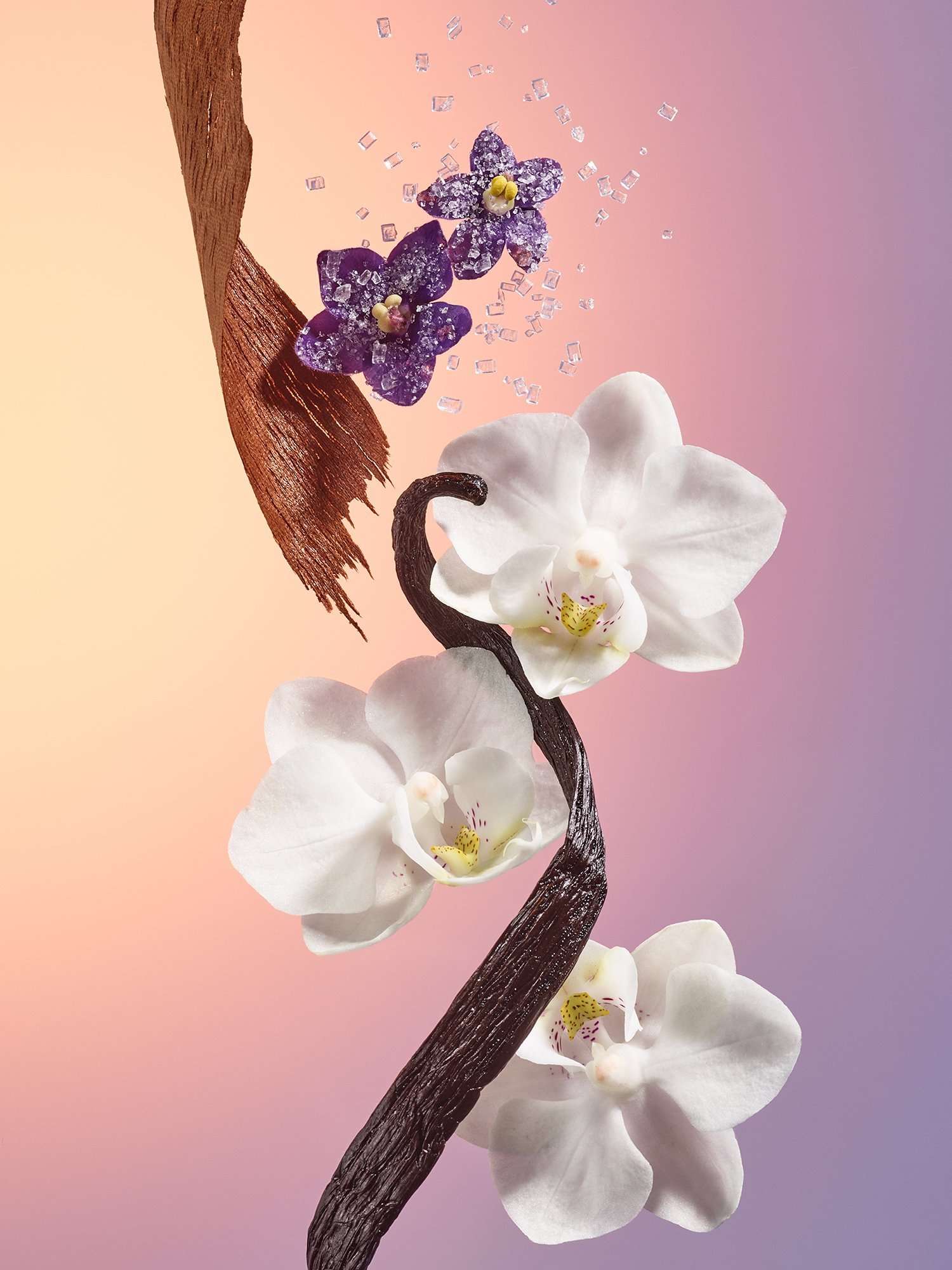 Delícia Drench™ Shower Oil