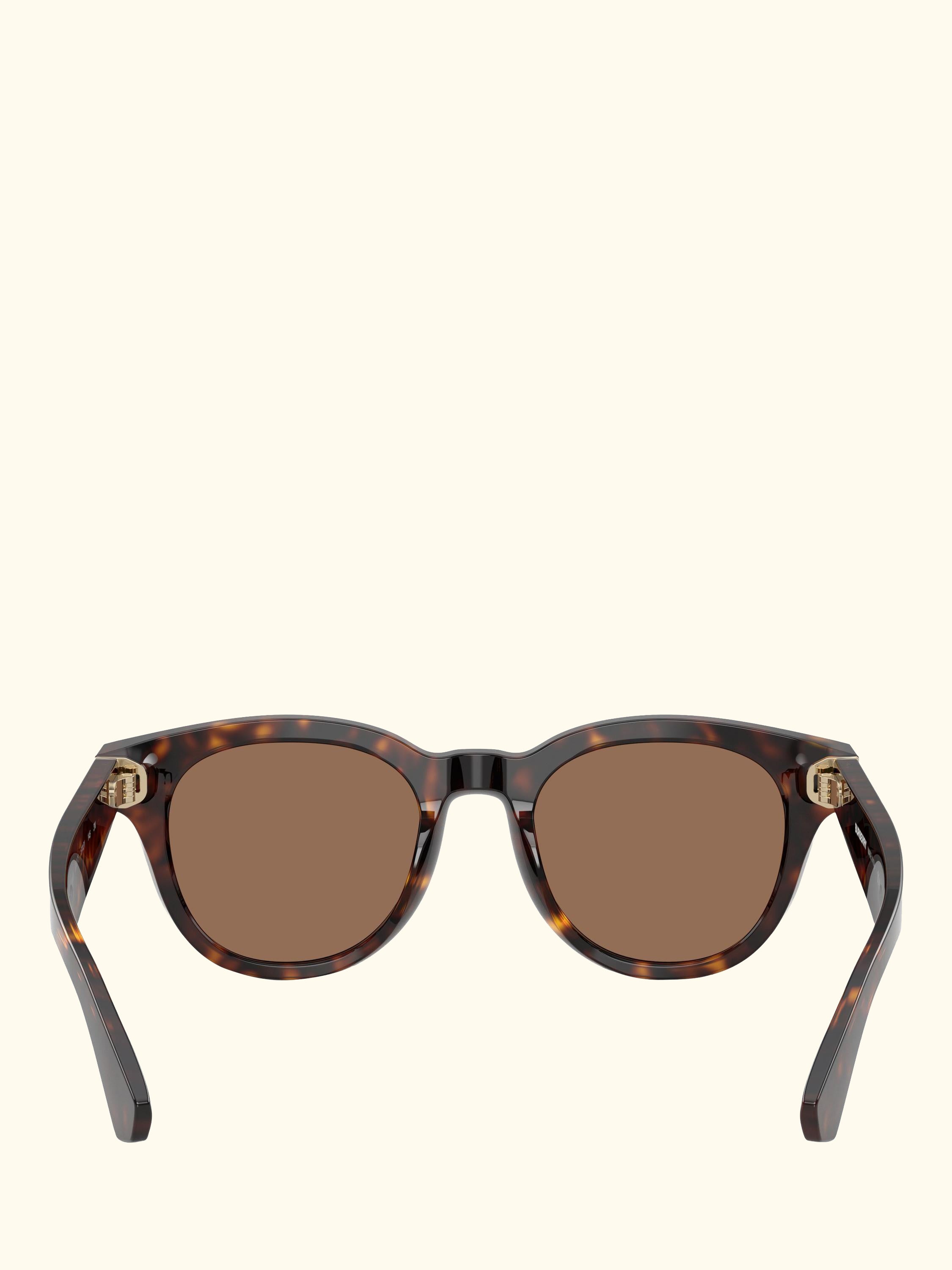 BE4439 Men's D-Frame Sunglasses
