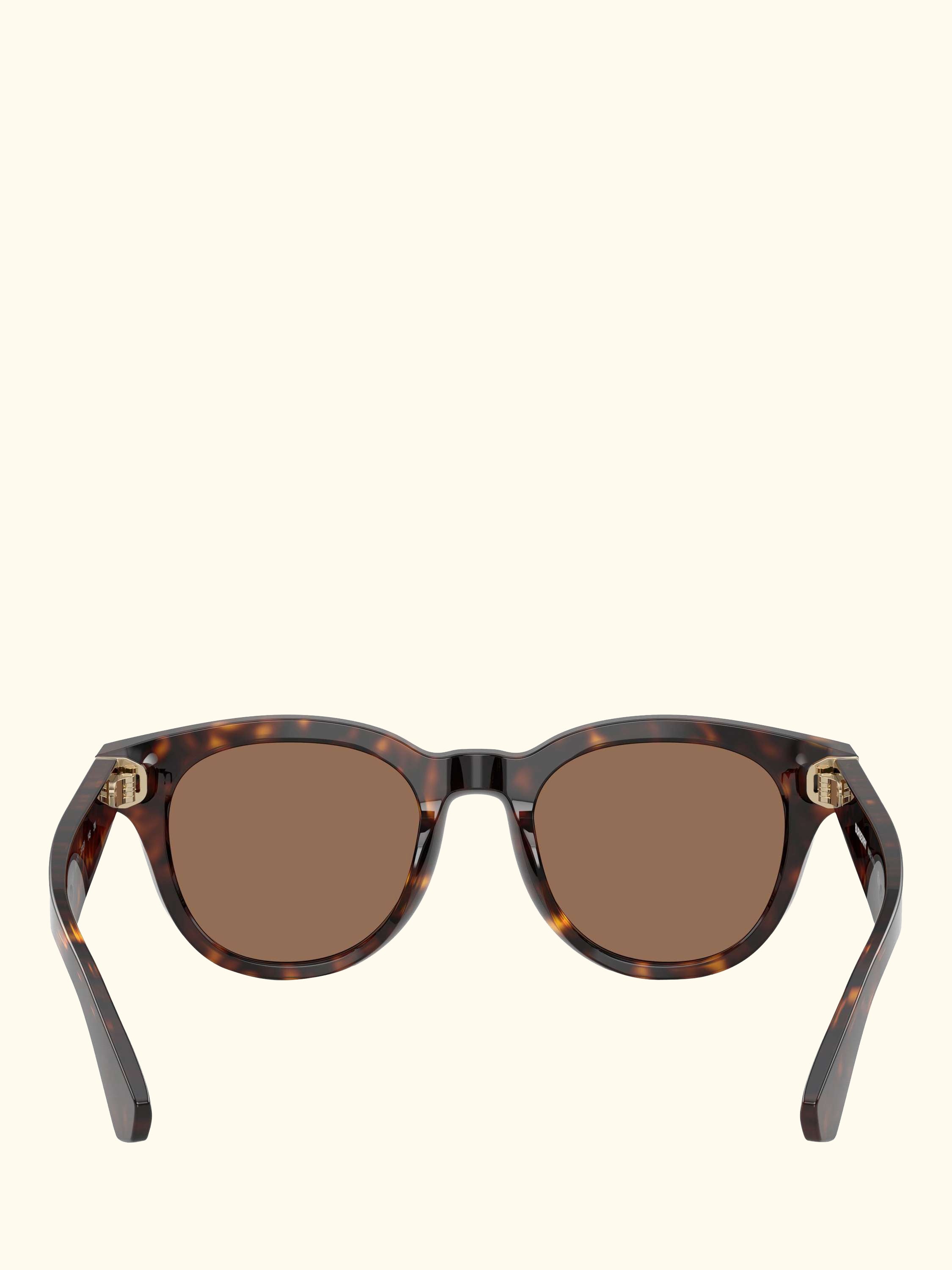 BE4439 Men's D-Frame Sunglasses