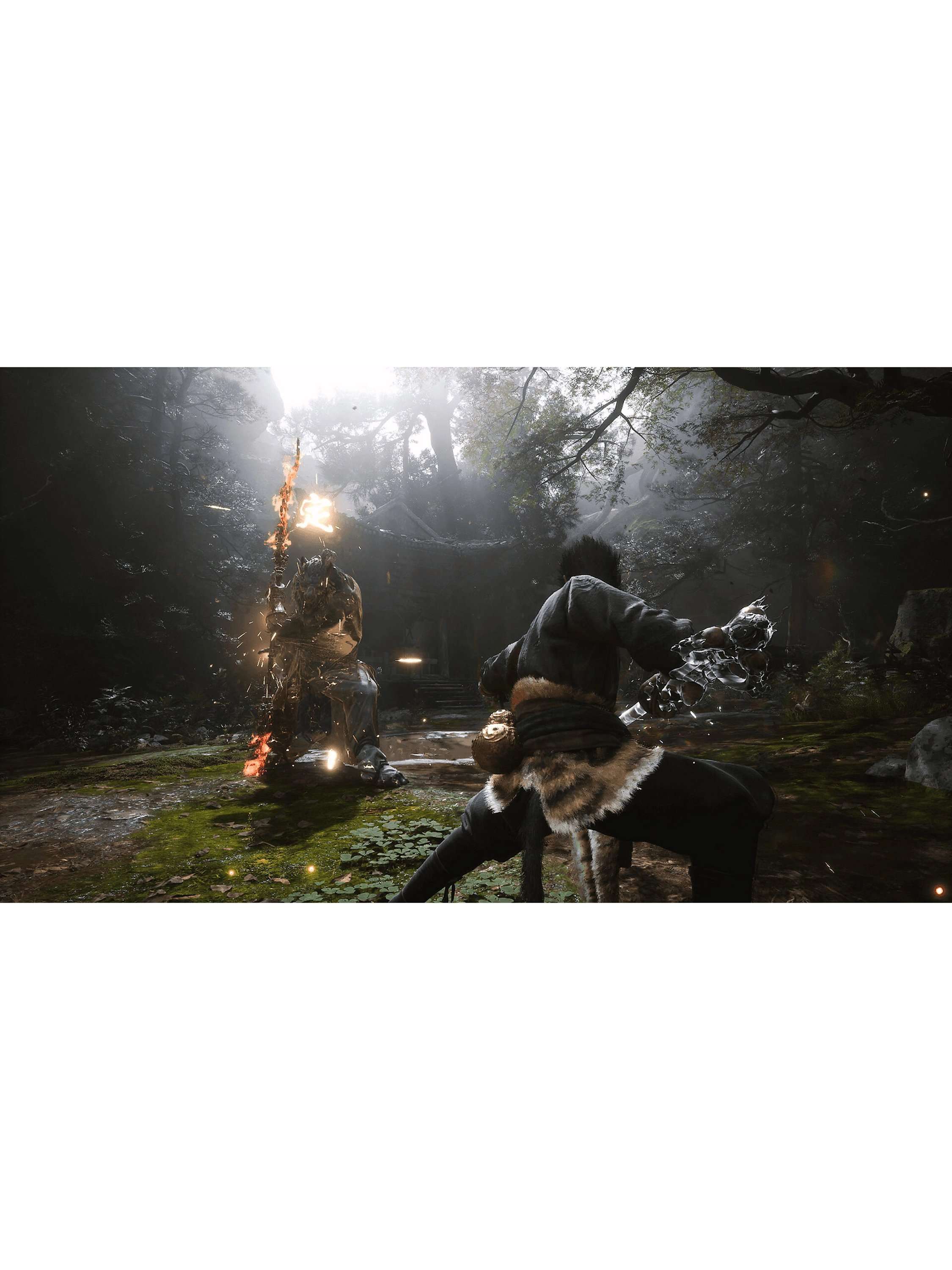 Black Myth: Wukong, PS5