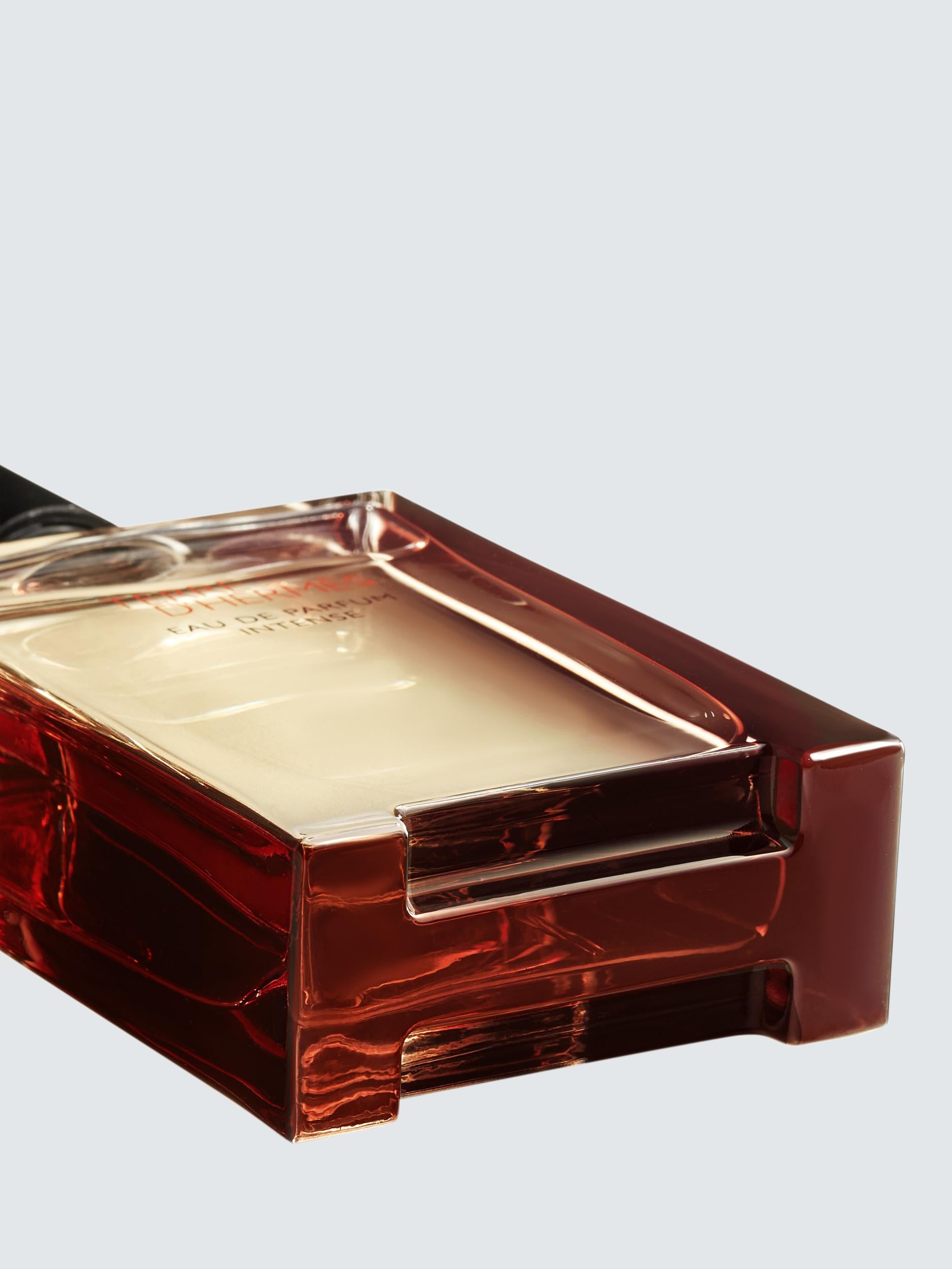 Terre d'Hermès Eau de Parfum Intense