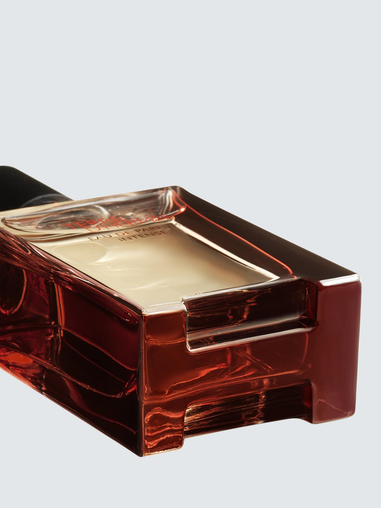 Terre d'Hermès Eau de Parfum Intense