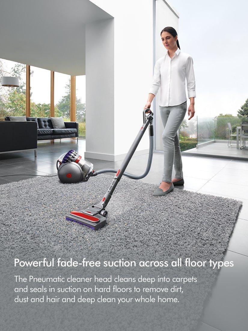 Big Ball Animal 2 Vacuum Cleaner, Iron/Purple