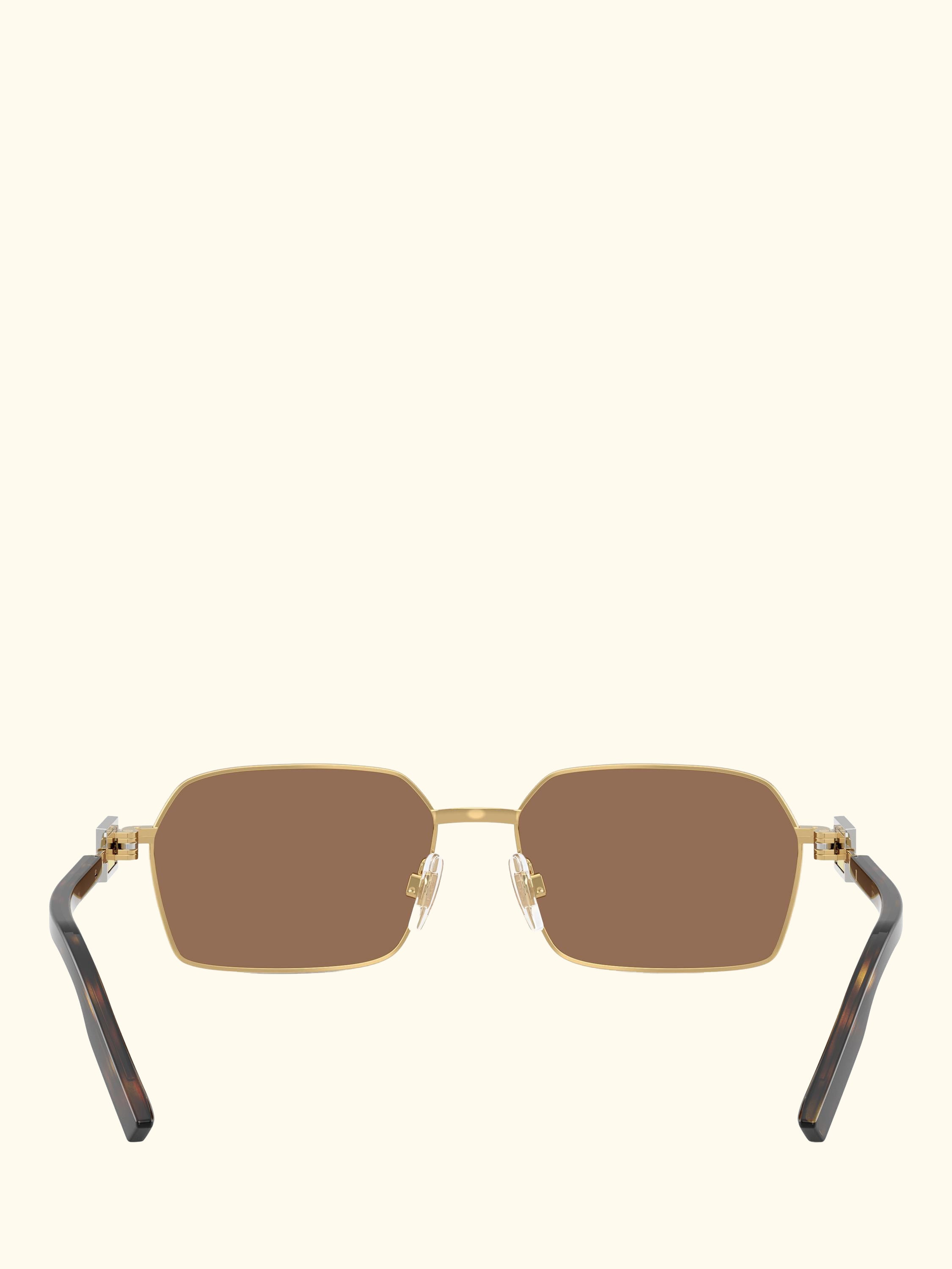 DG2316 Men's Rectangular Sunglasses