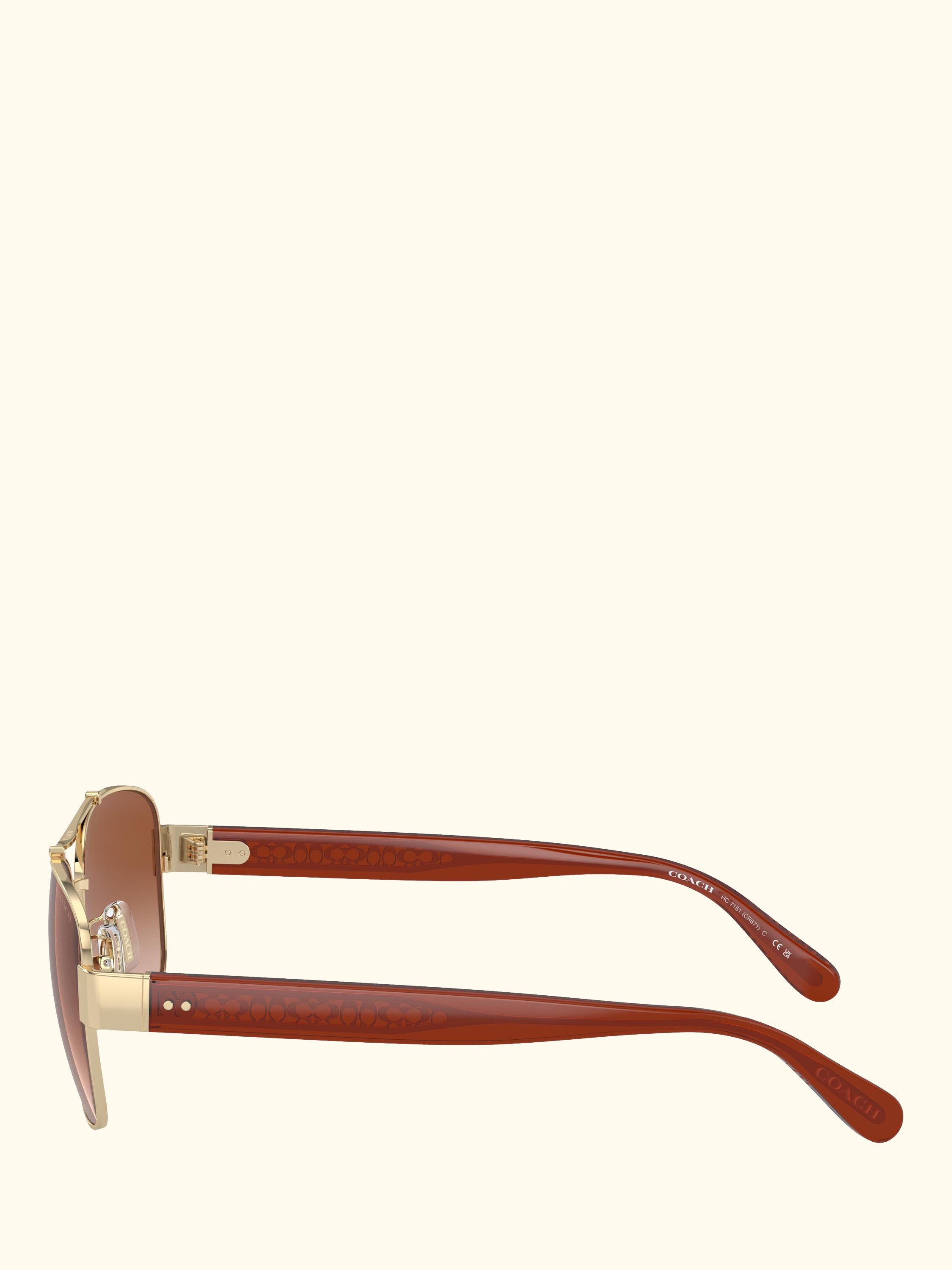 HC7161 Women's Round Sunglasses, Gold/Brown Gradient