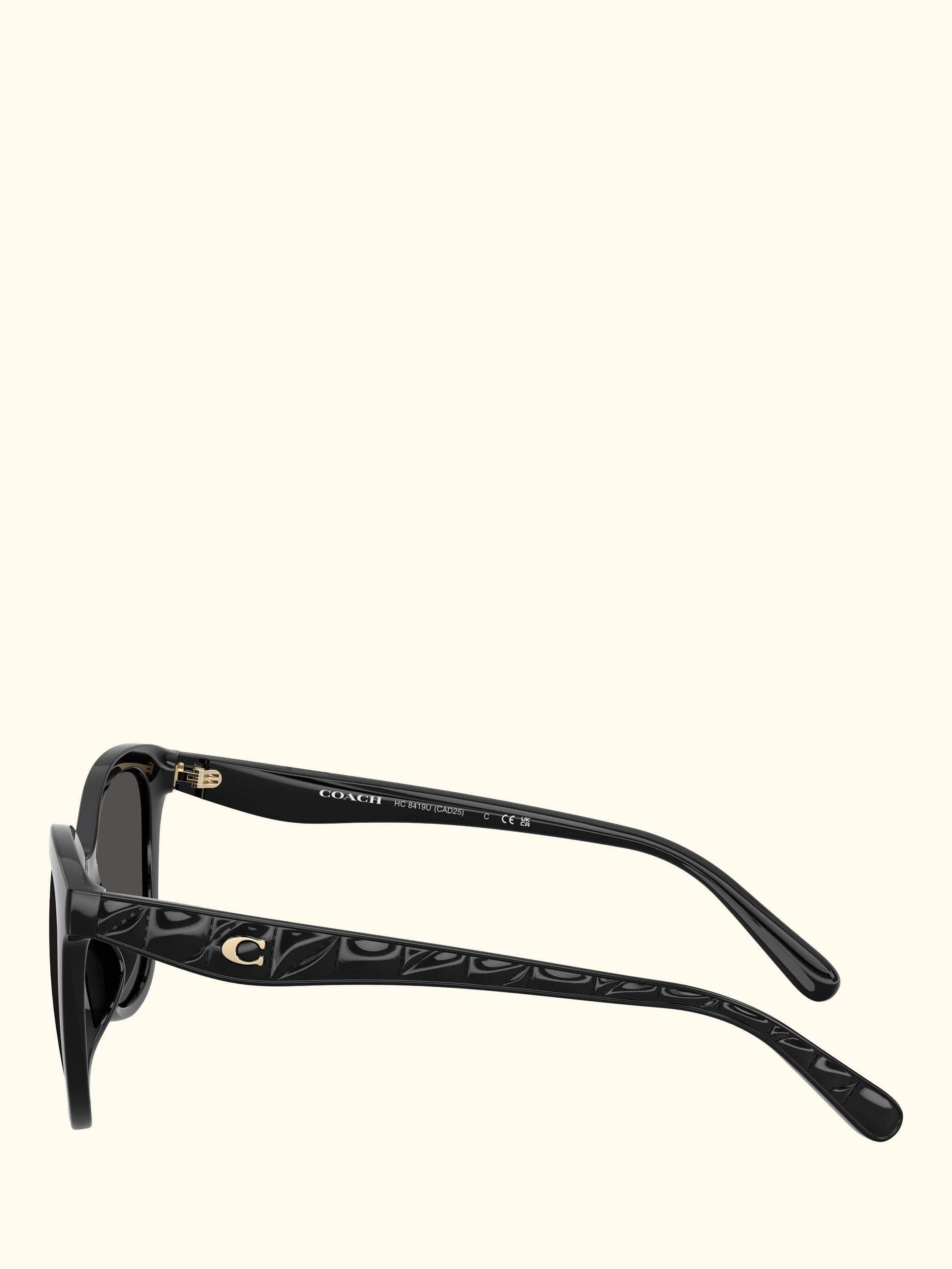 HC8419 Women's Square Sunglasses, Black