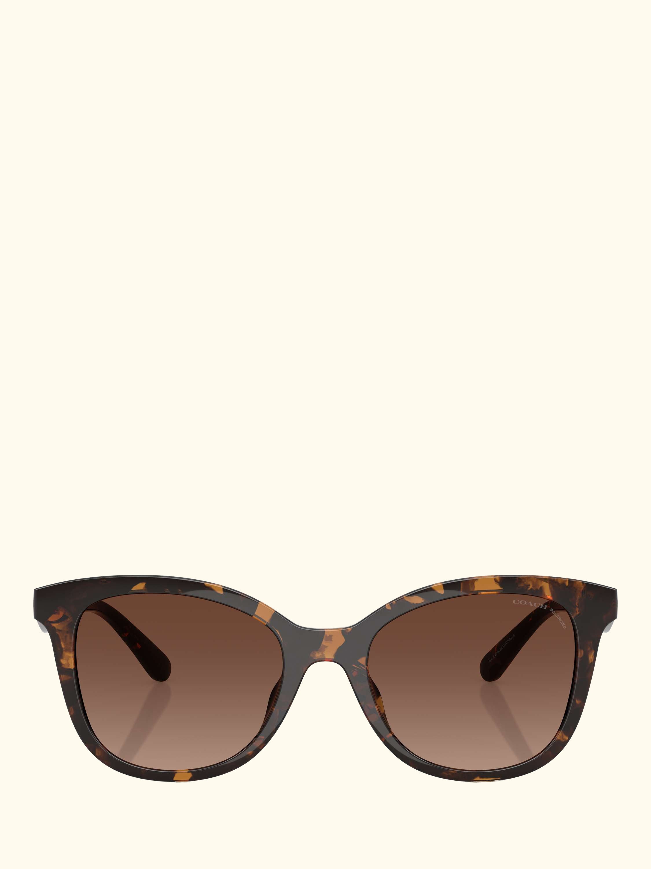 HC8419 Women's Polarised D-Frame Sunglasses, Havana/Brown Gradient