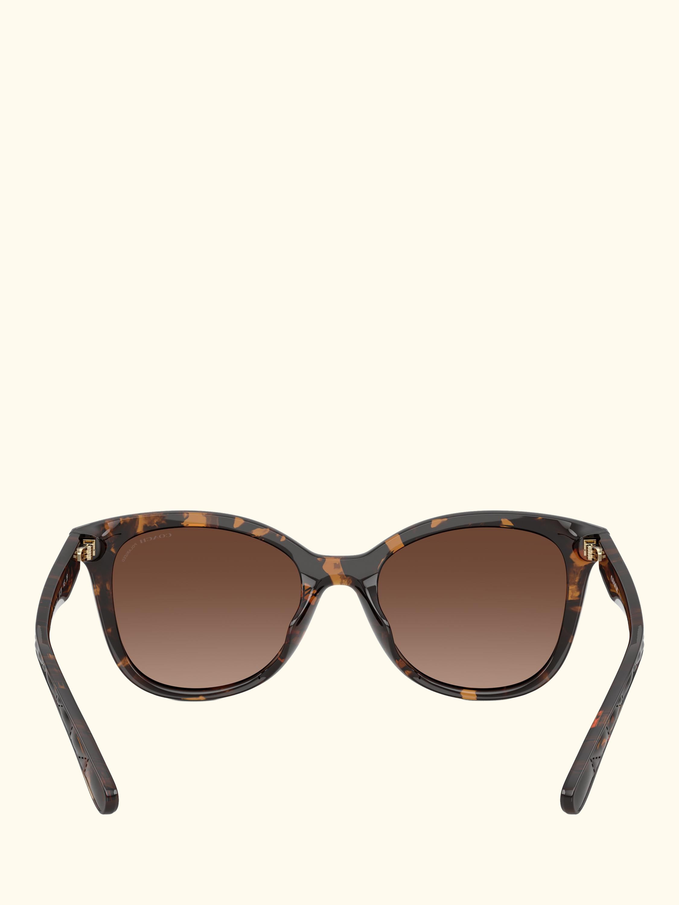 HC8419 Women's Polarised D-Frame Sunglasses, Havana/Brown Gradient