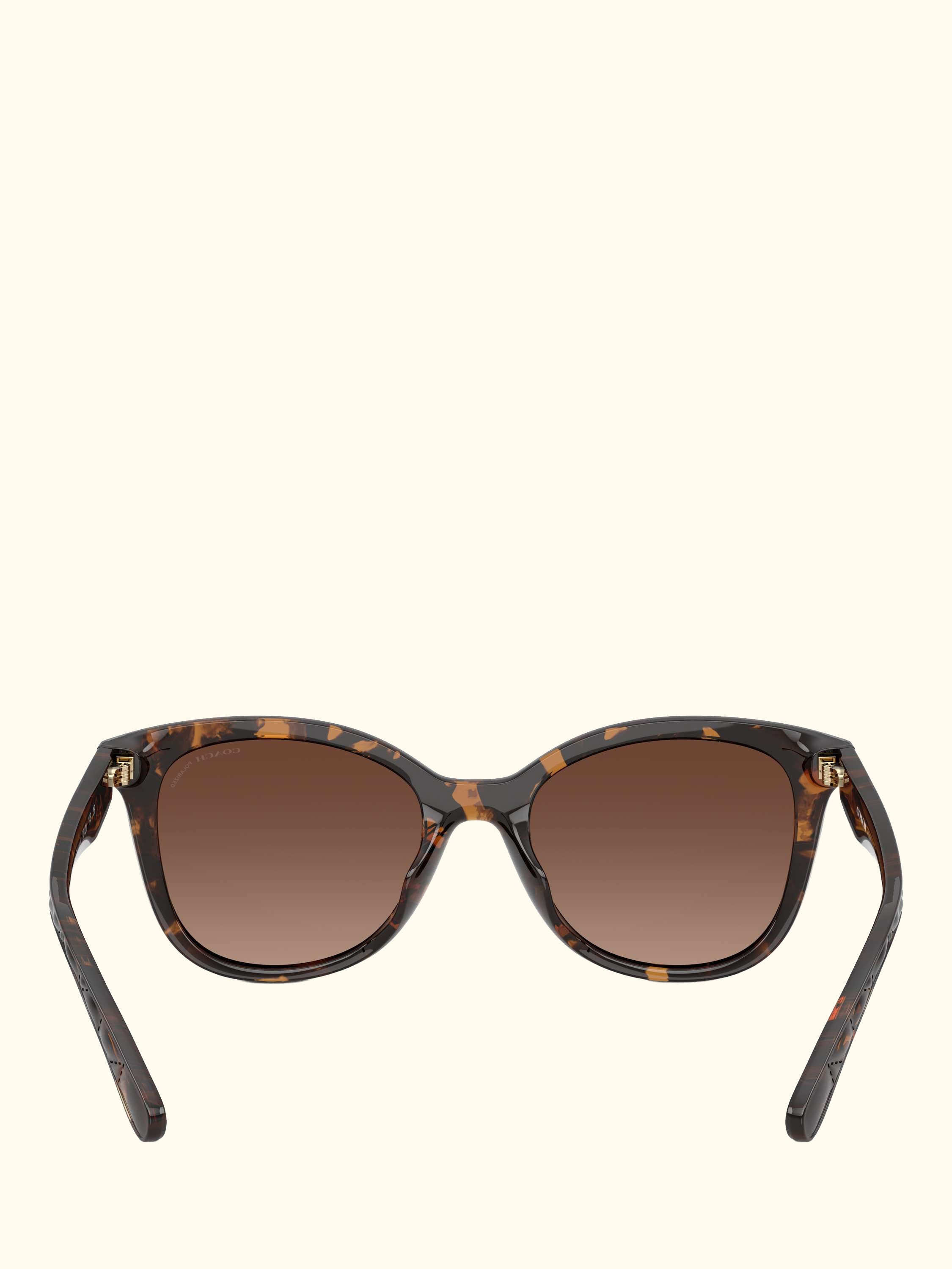 HC8419 Women's Polarised D-Frame Sunglasses, Havana/Brown Gradient