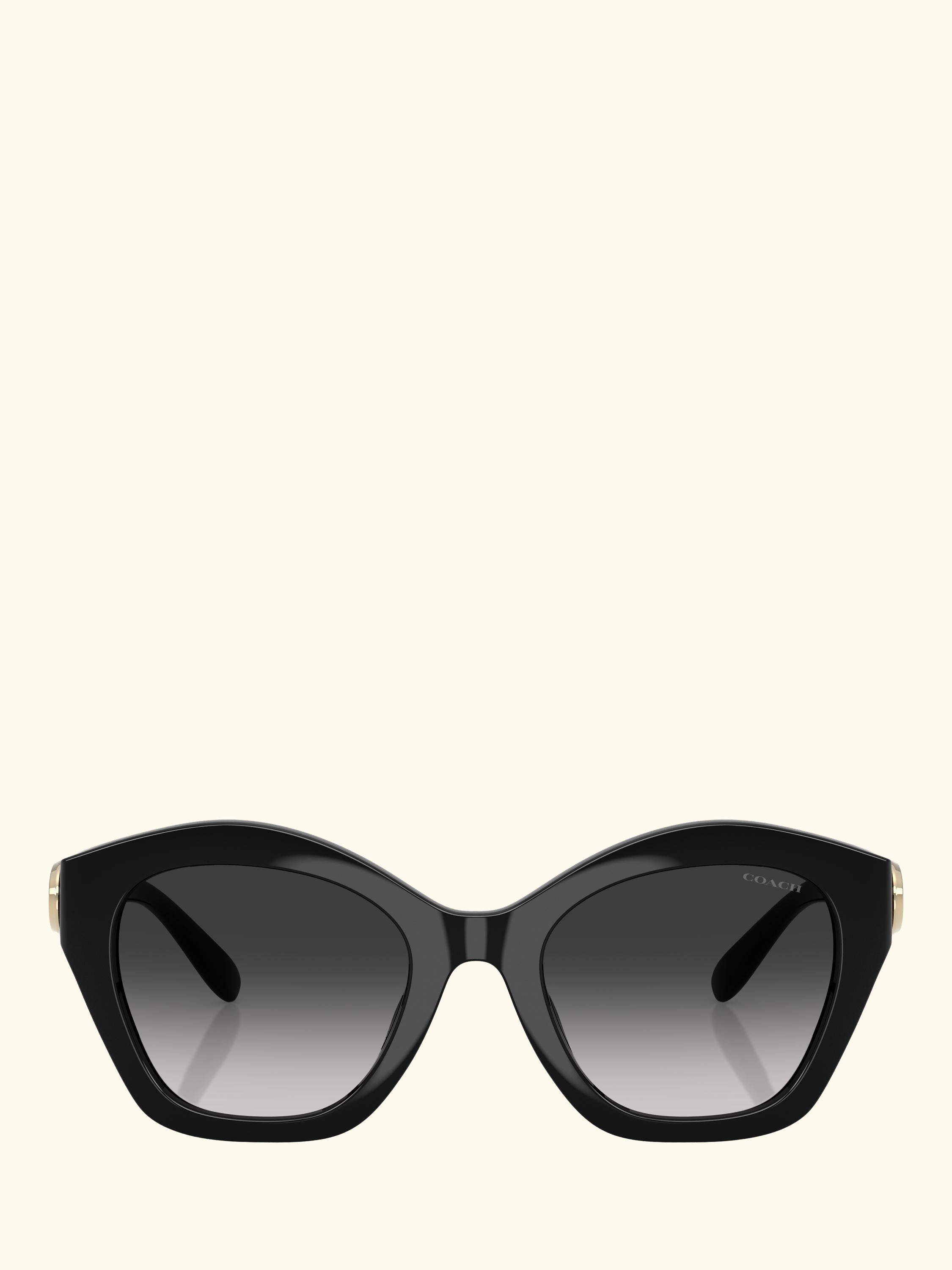 HC8421 Women's Irregular Sunglasses, Black/Grey Gradient