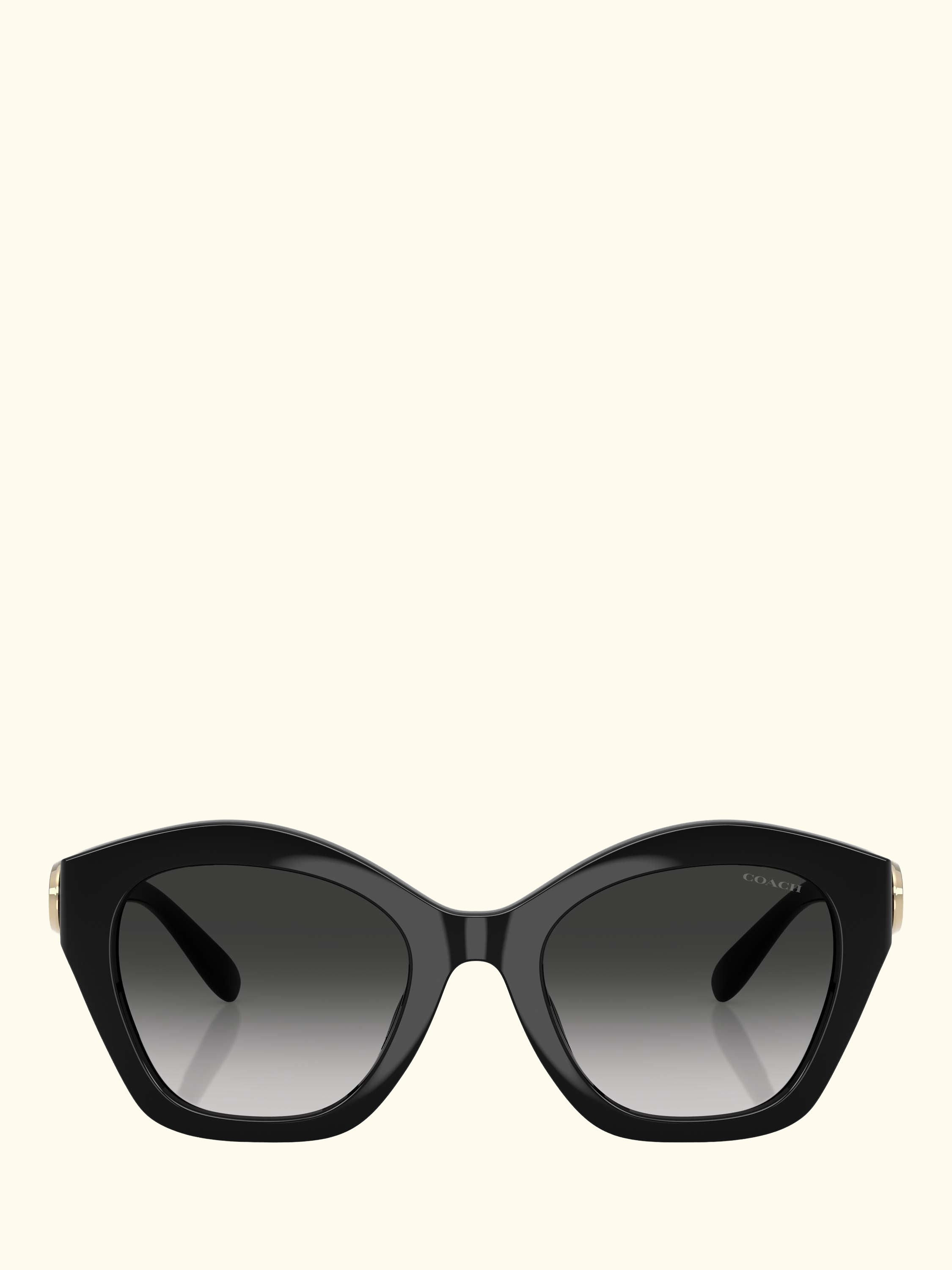 HC8421 Women's Irregular Sunglasses, Black/Grey Gradient
