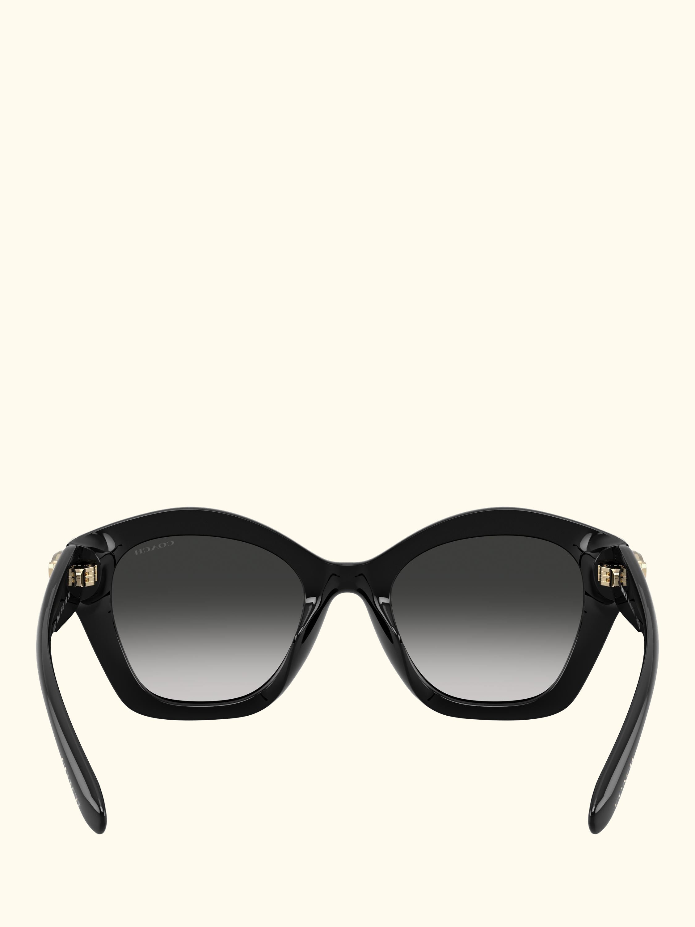 HC8421 Women's Irregular Sunglasses, Black/Grey Gradient