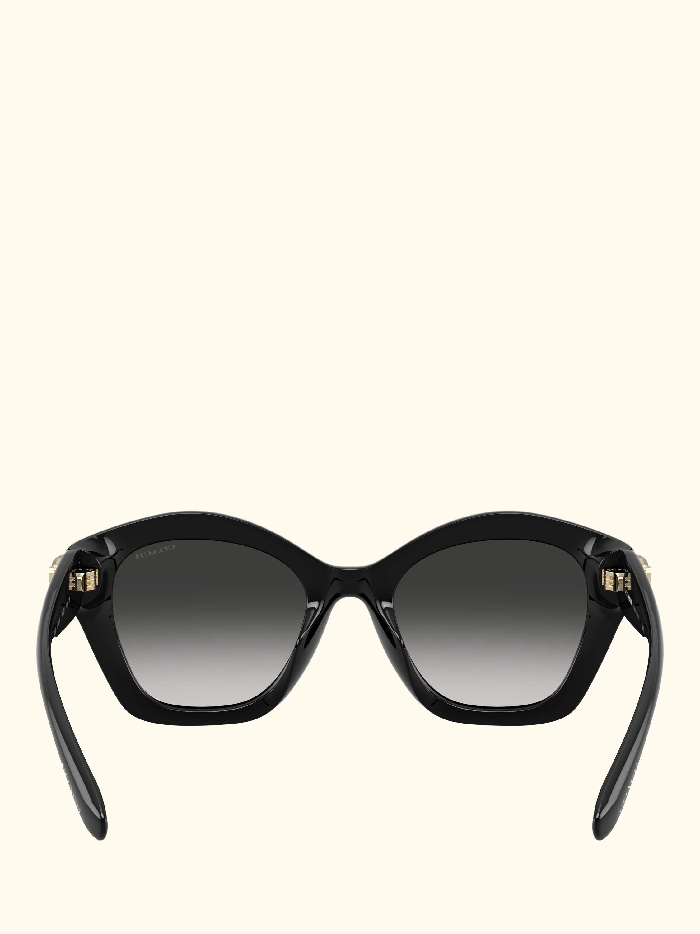 HC8421 Women's Irregular Sunglasses, Black/Grey Gradient