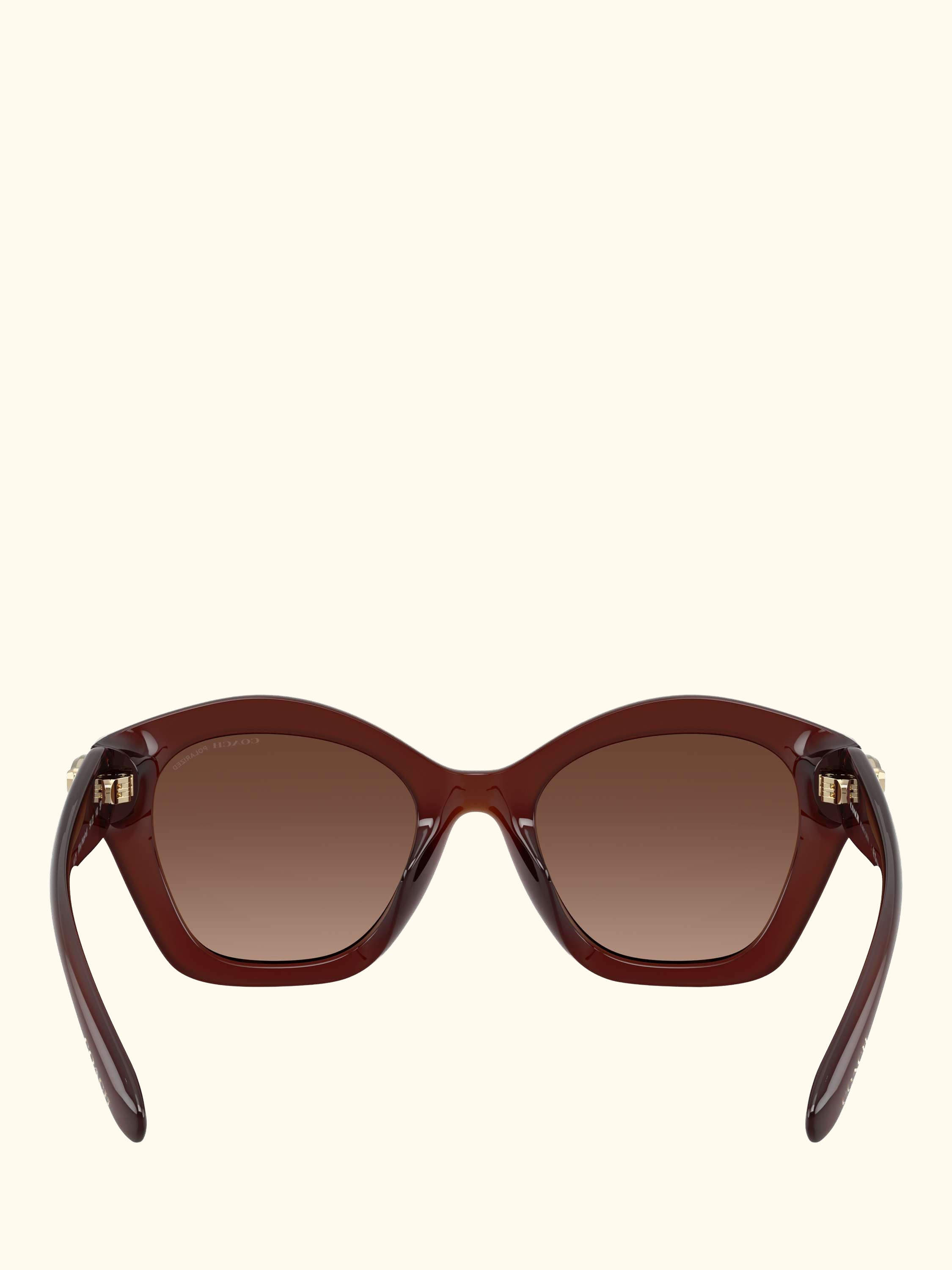 HC8421 Women's Polarised Irregular Sunglasses, Brown/Brown Gradient