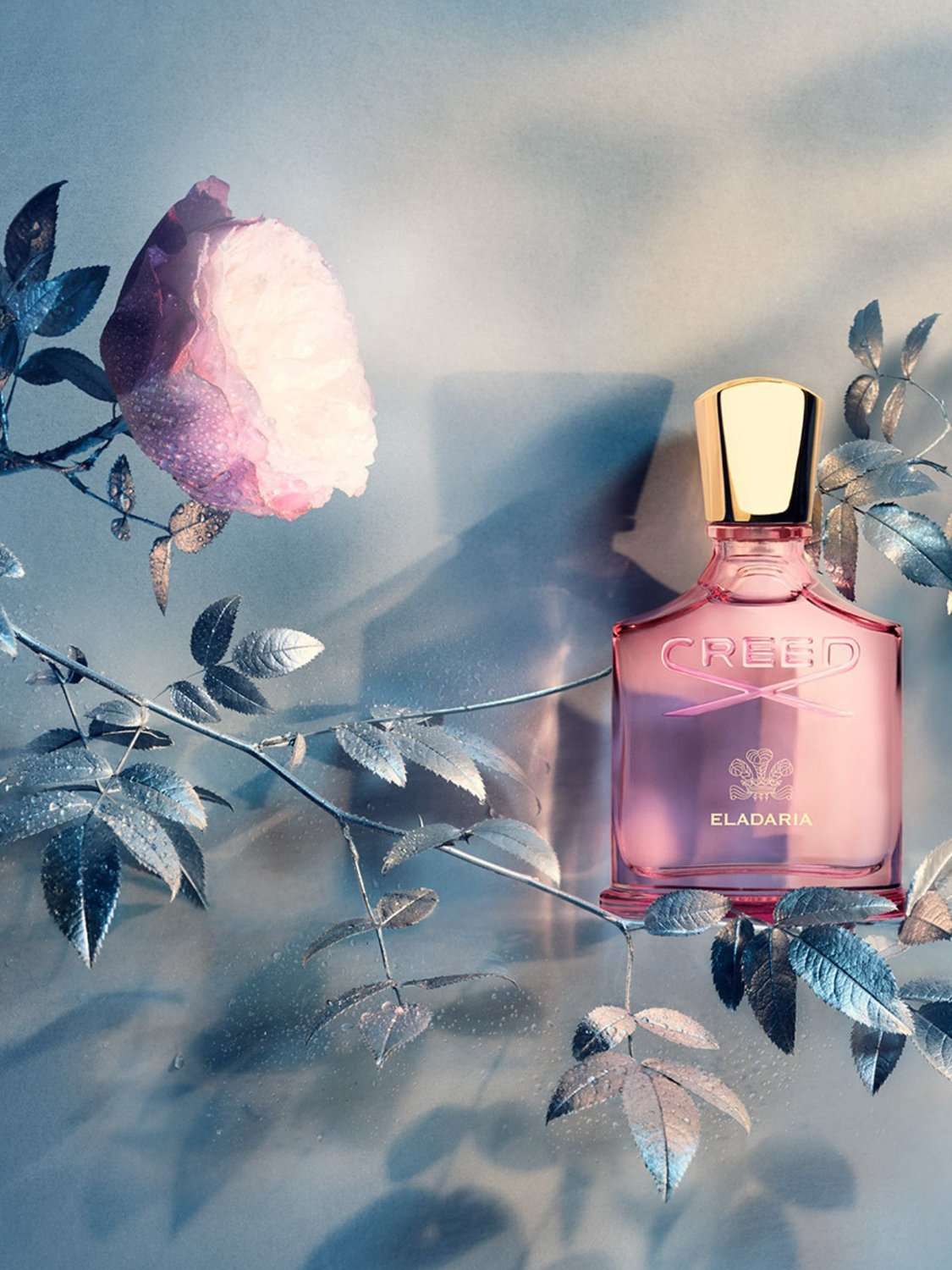 Eladaria Eau de Parfum