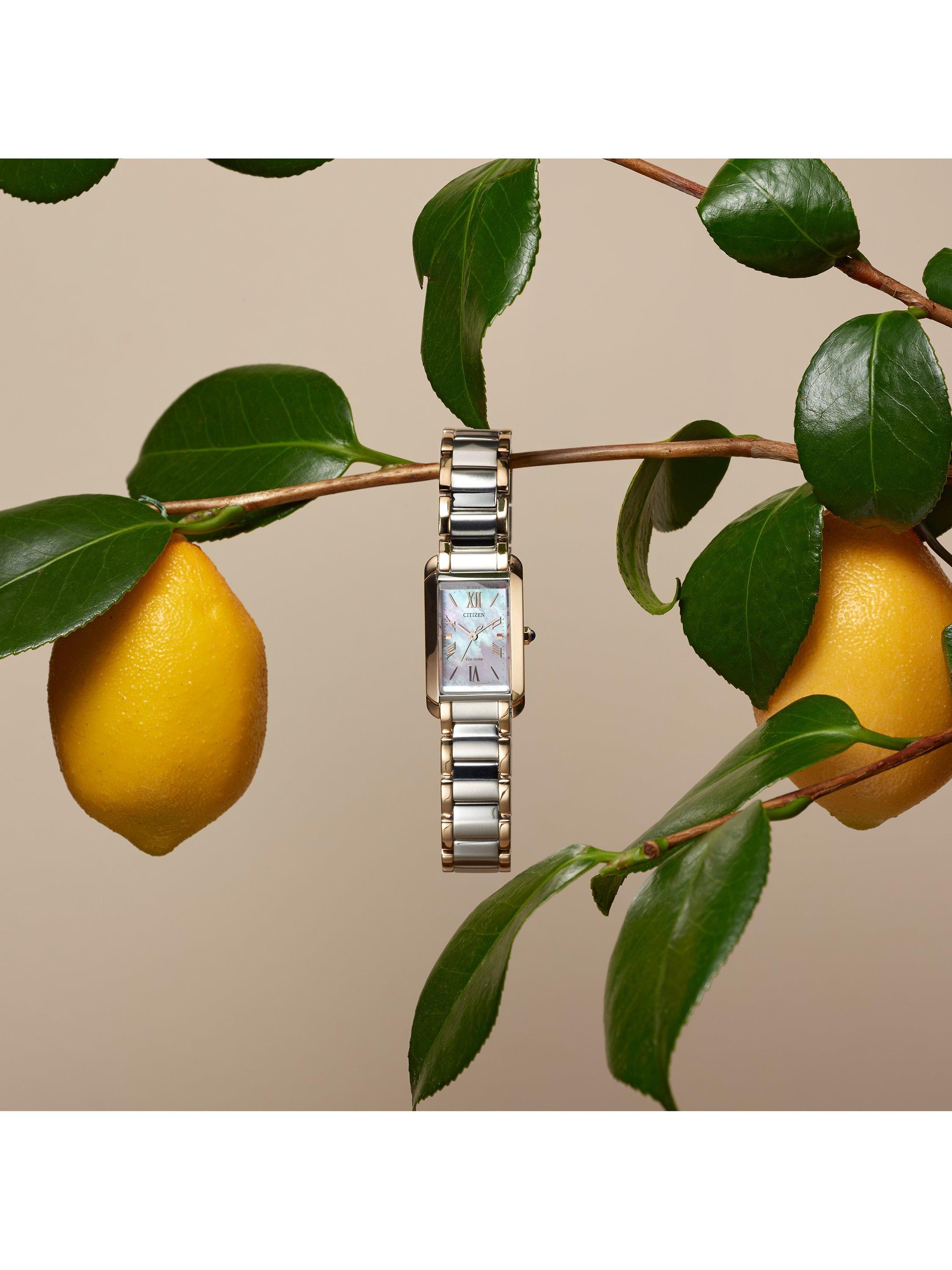 L Bianca Women's 32mm Bracelet Watch, Two Tone Stainless Steel