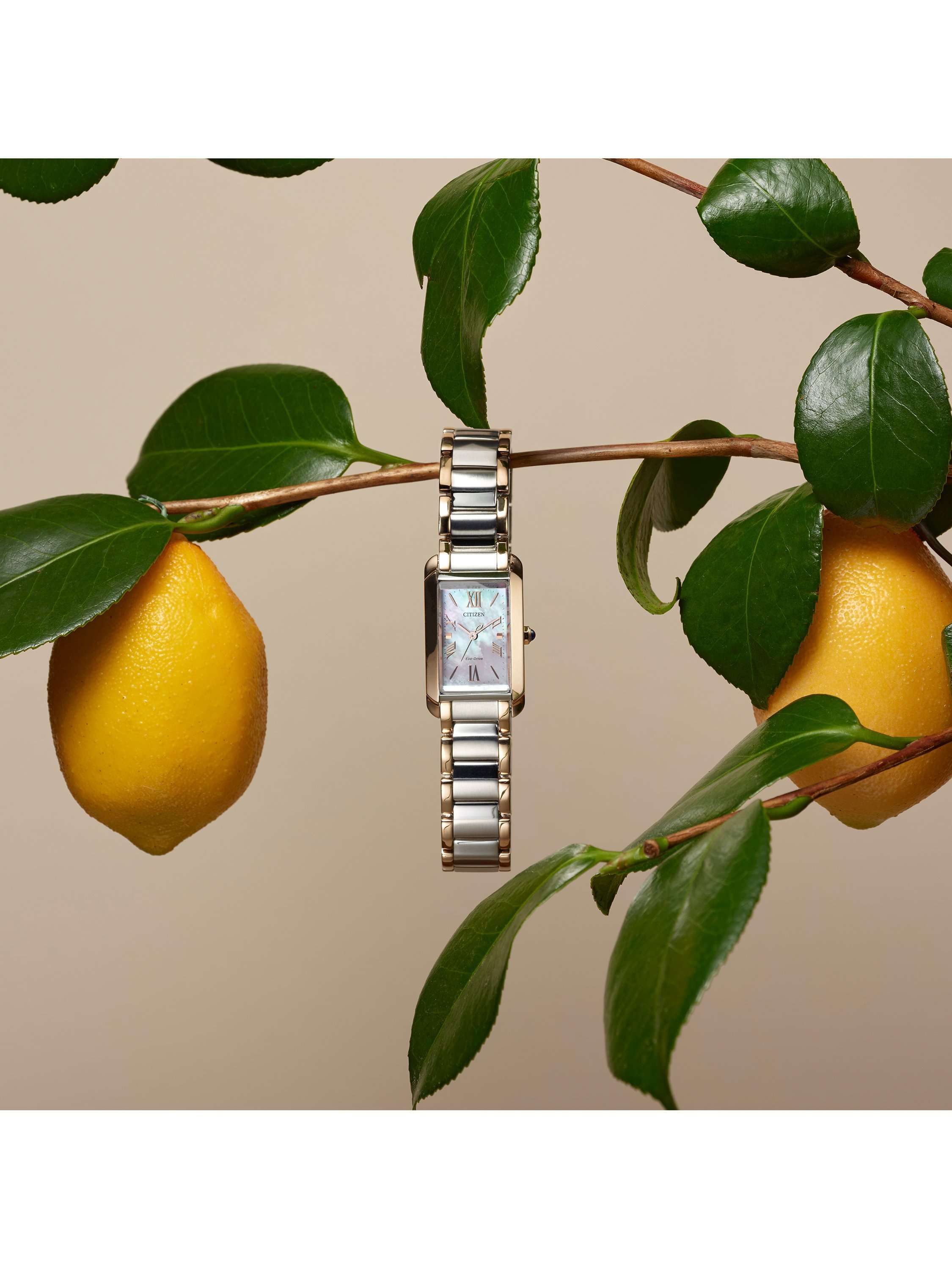 L Bianca Women's 32mm Bracelet Watch, Two Tone Stainless Steel