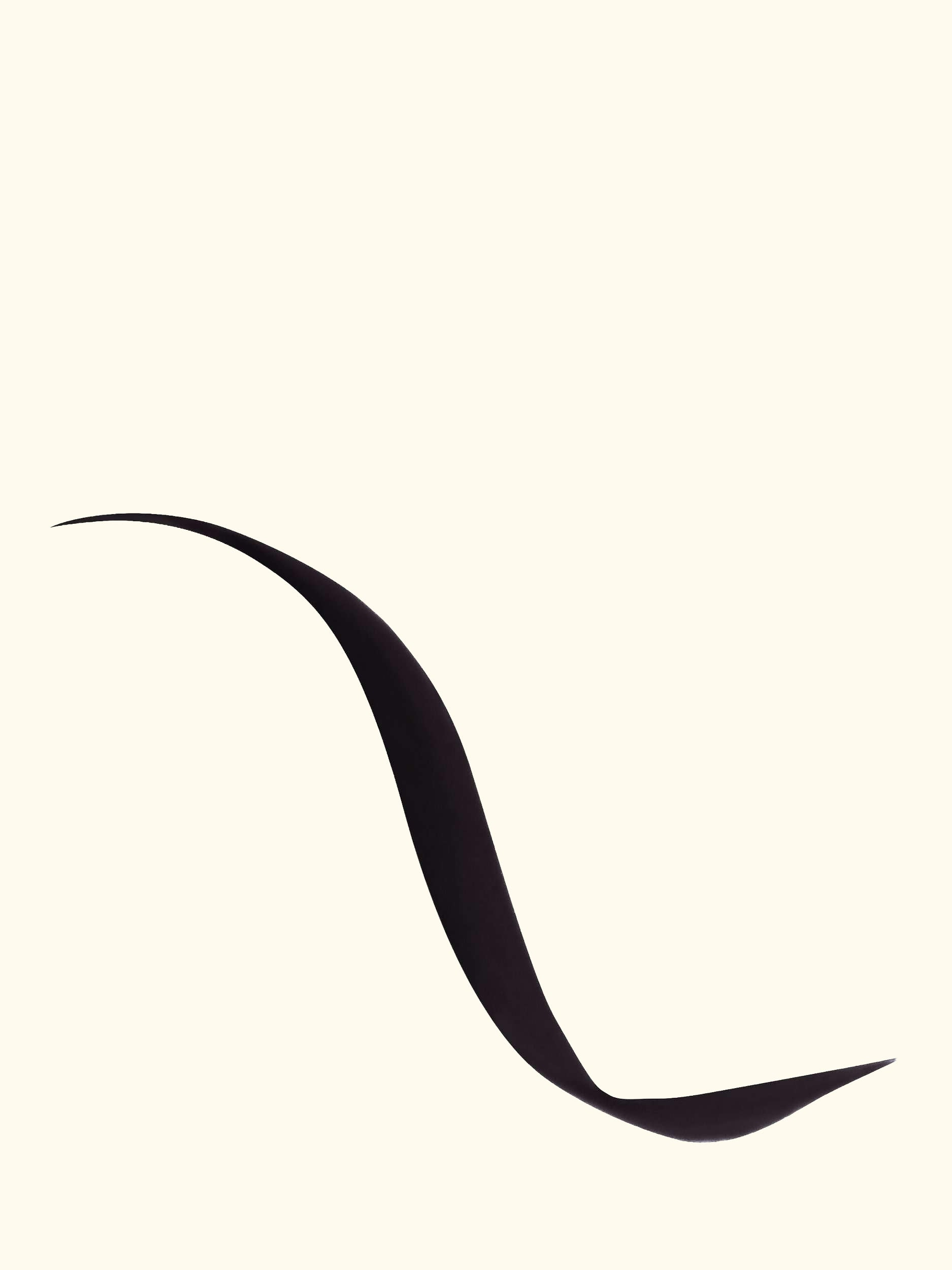 Diorshow Liquid Eyeliner