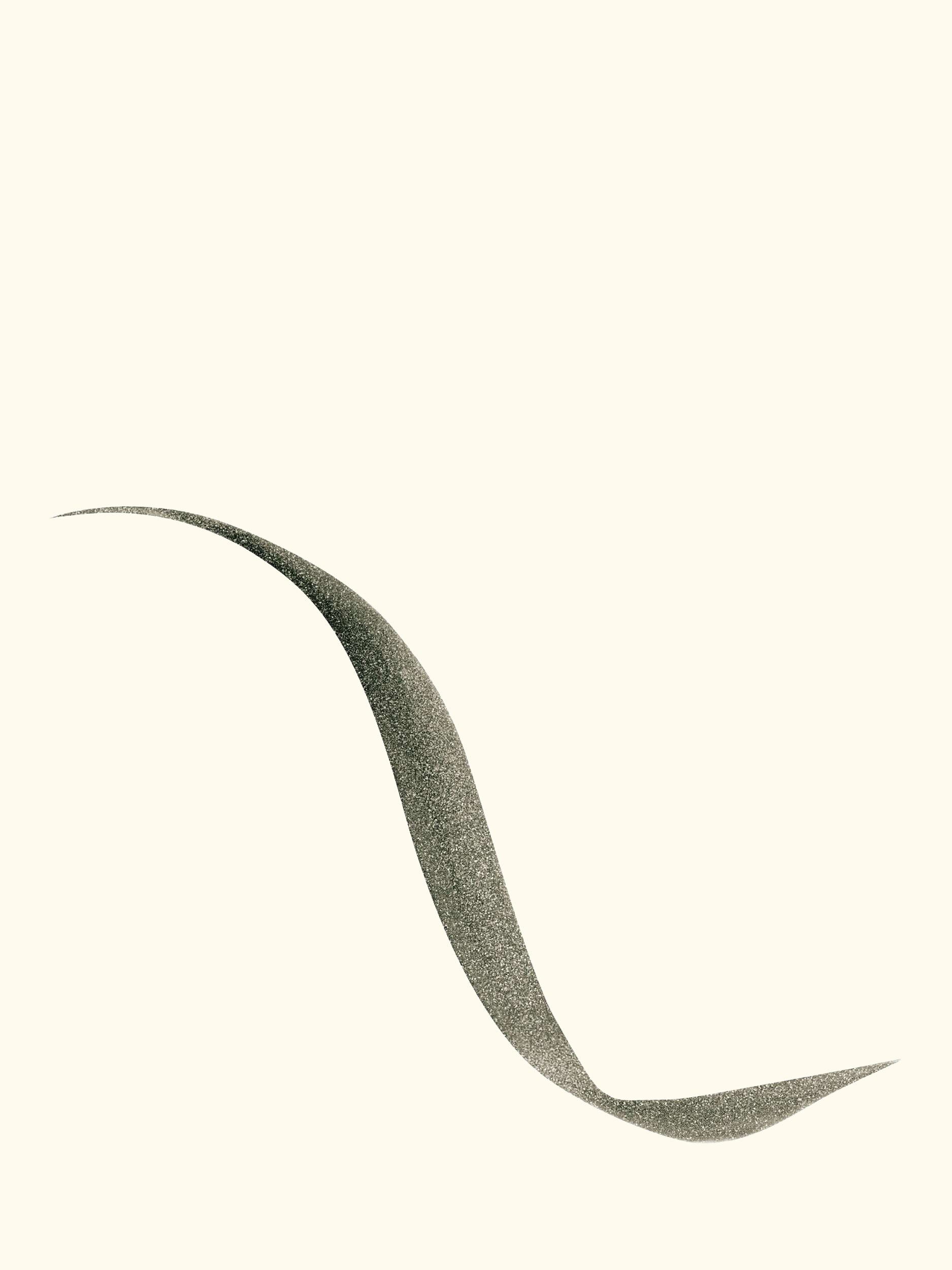 Diorshow Liquid Eyeliner