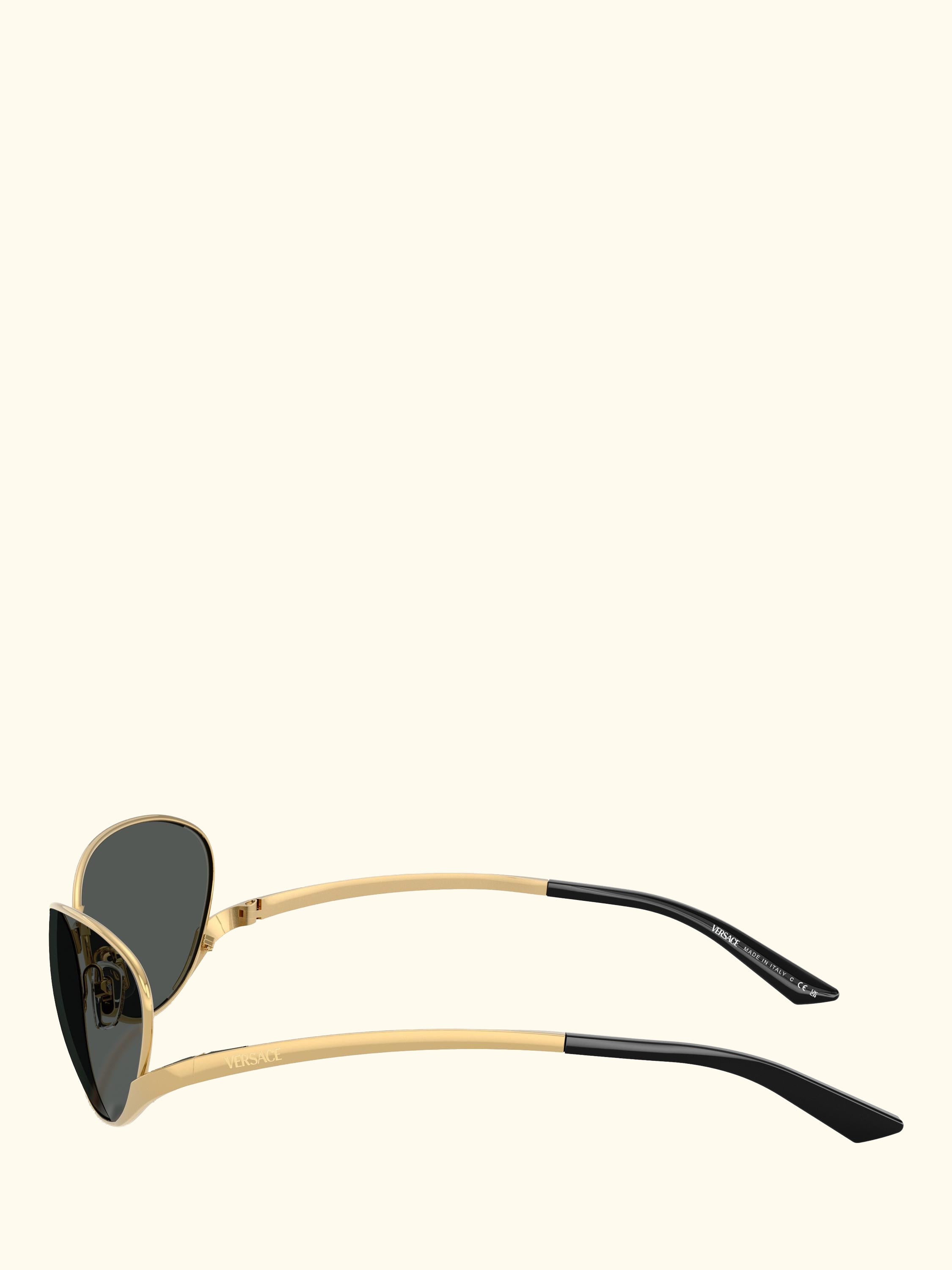 VE2285 Unisex Oval Sunglasses