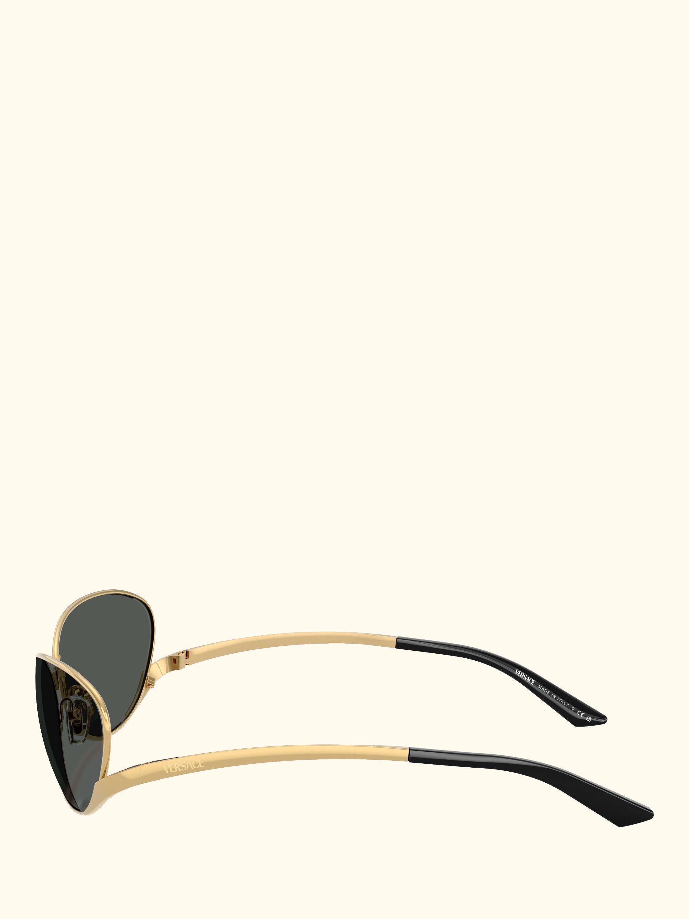 VE2285 Unisex Oval Sunglasses