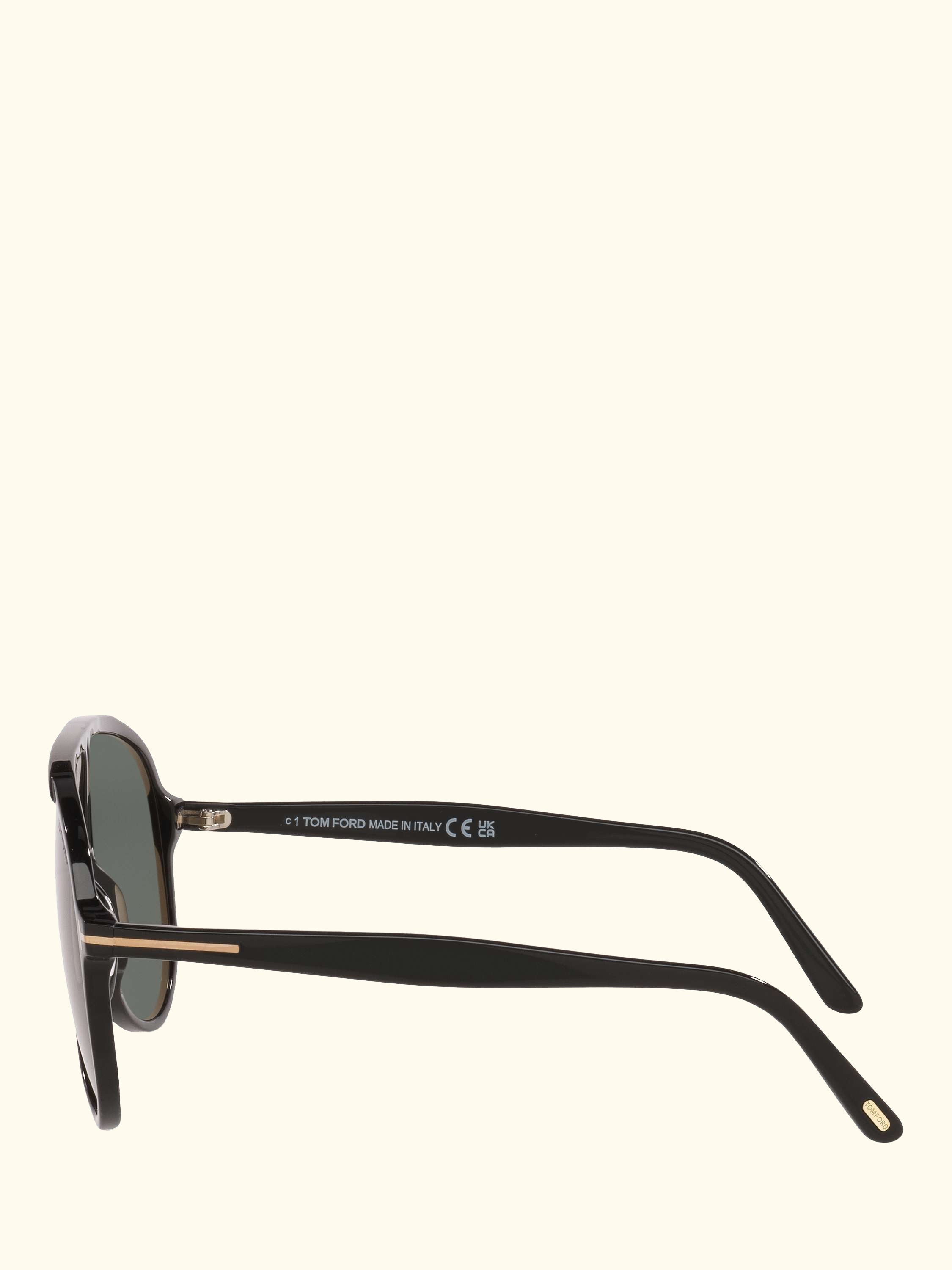 TR001986 Men's Oval Sunglasses, Black/Green