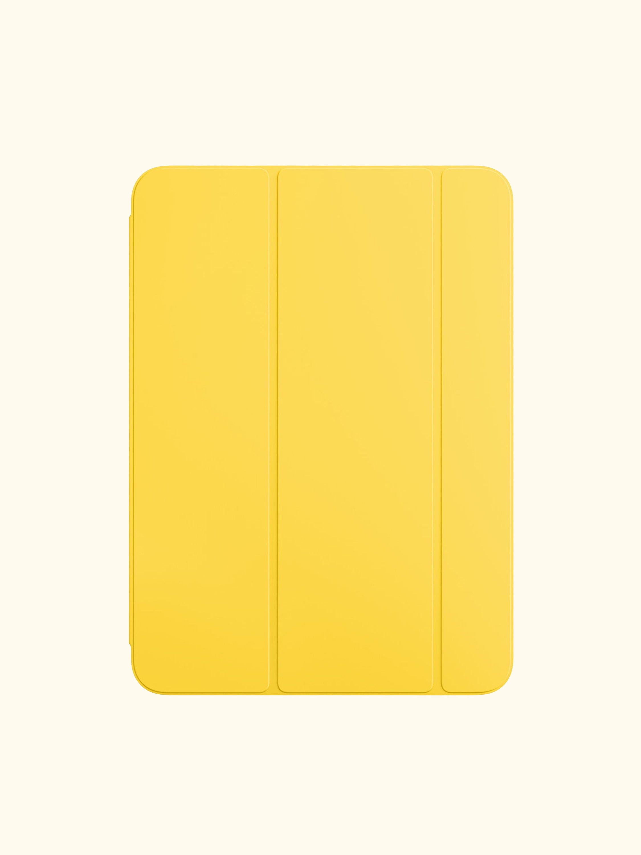 Smart Folio for iPad (2025)