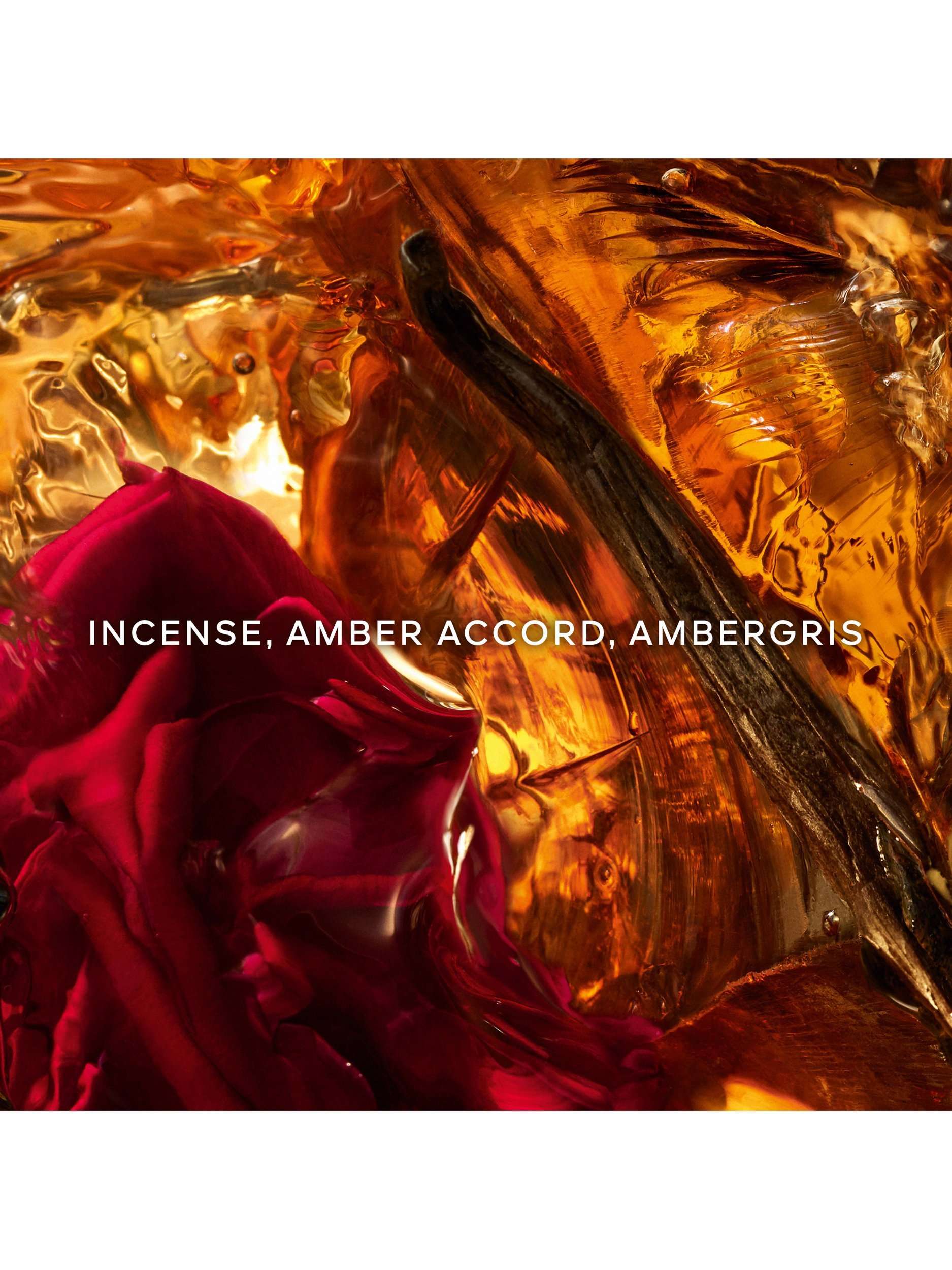 Absolus Allegoria Ambre Samar Eau de Parfum, 125ml