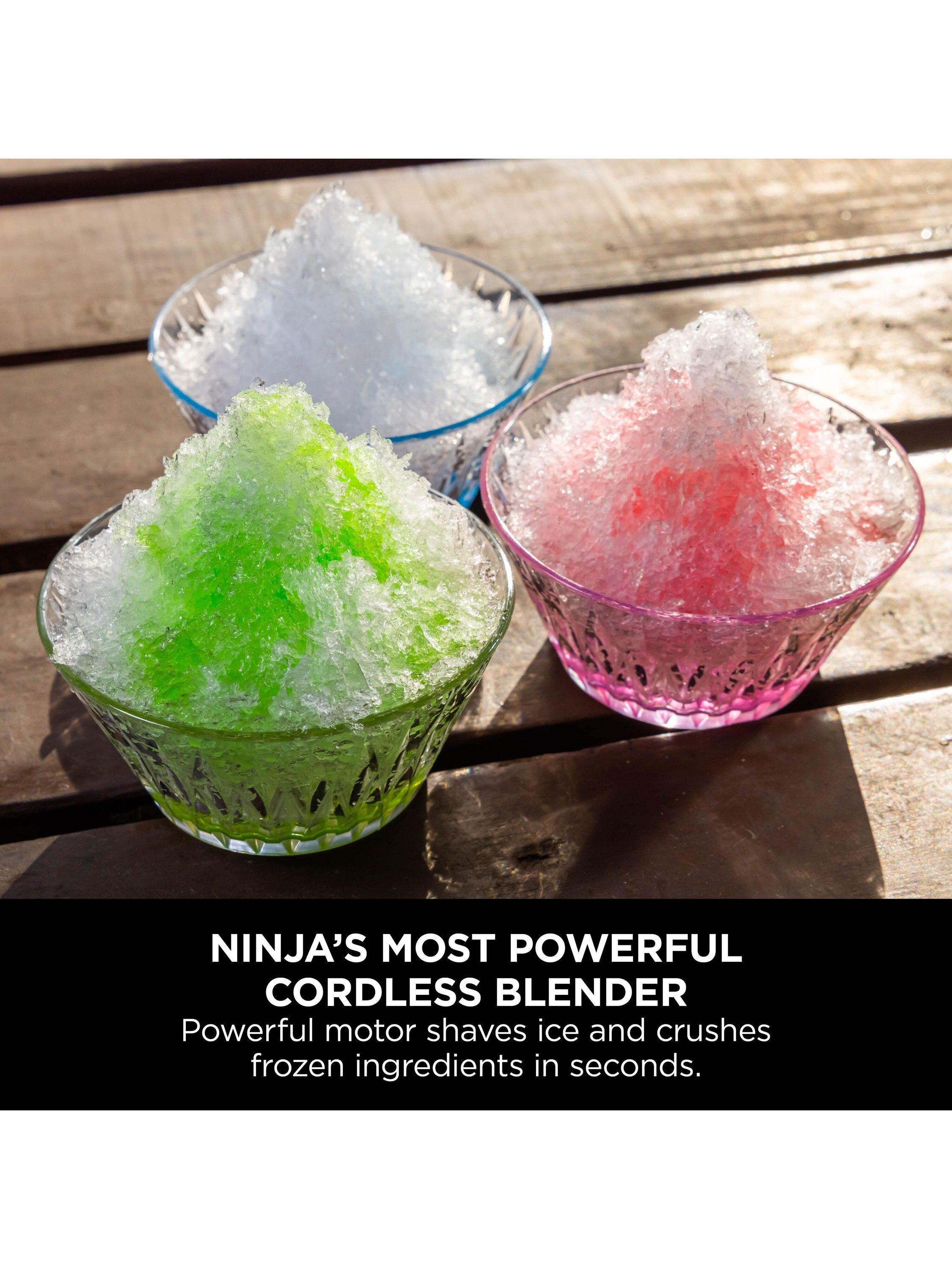 Blast Max Portable Food Blender