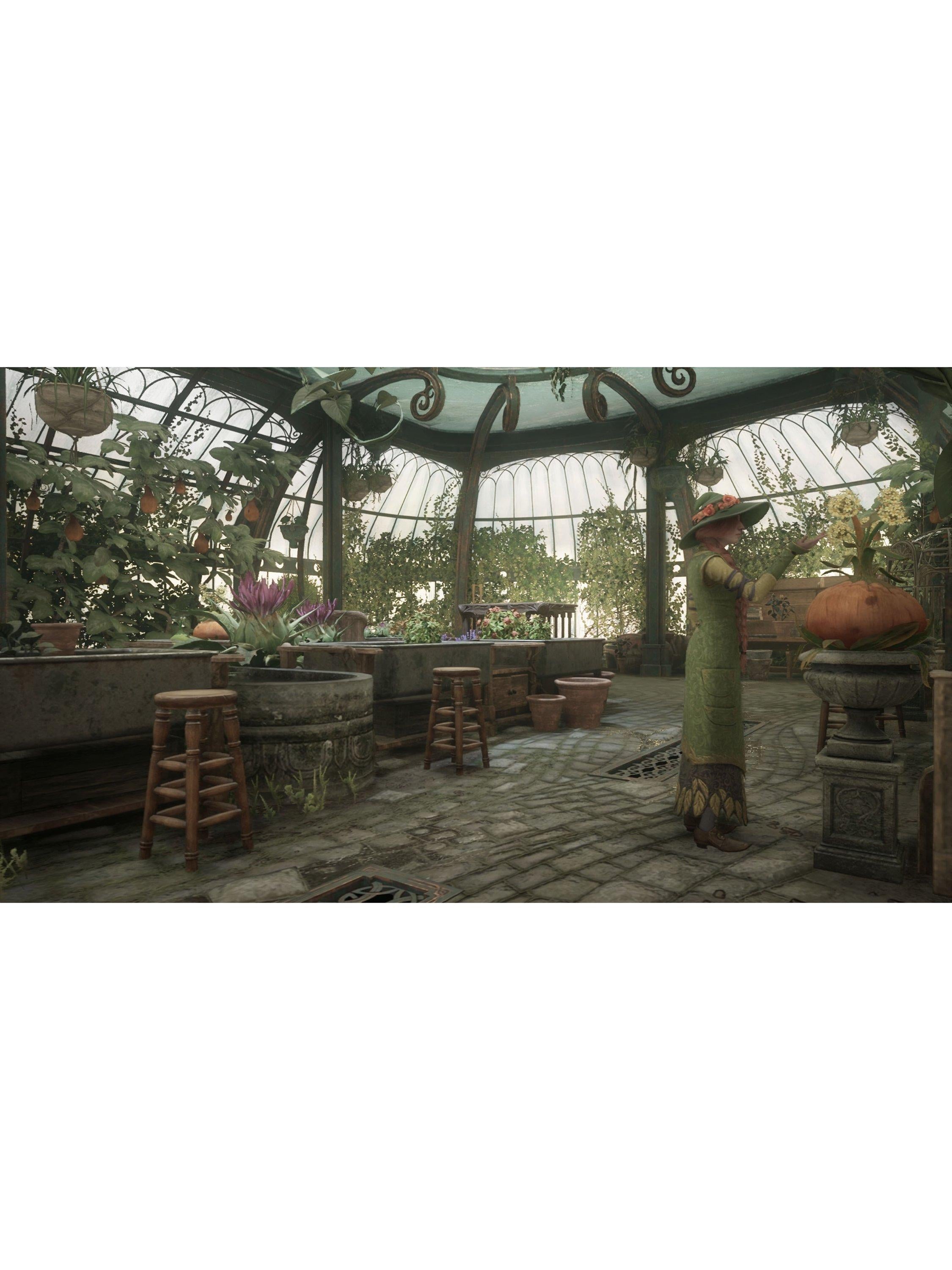 Hogwarts Legacy, Switch 2