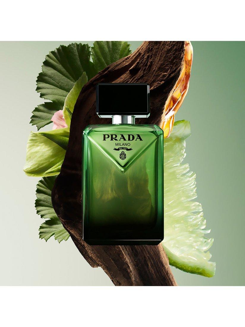 Paradigme Eau de Parfum
