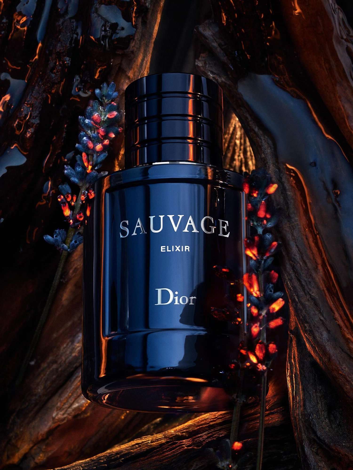 Sauvage Elixir