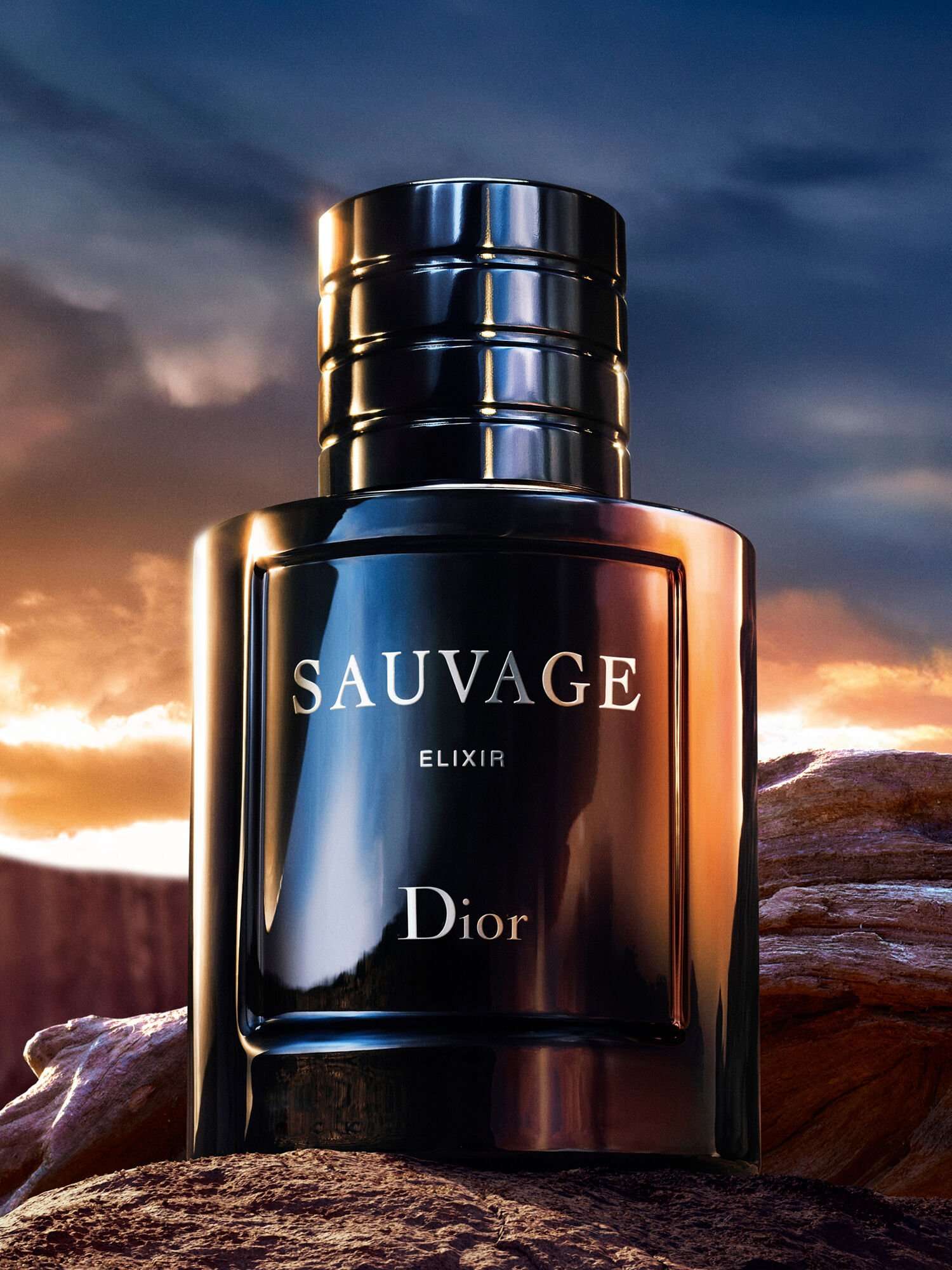 Sauvage Elixir