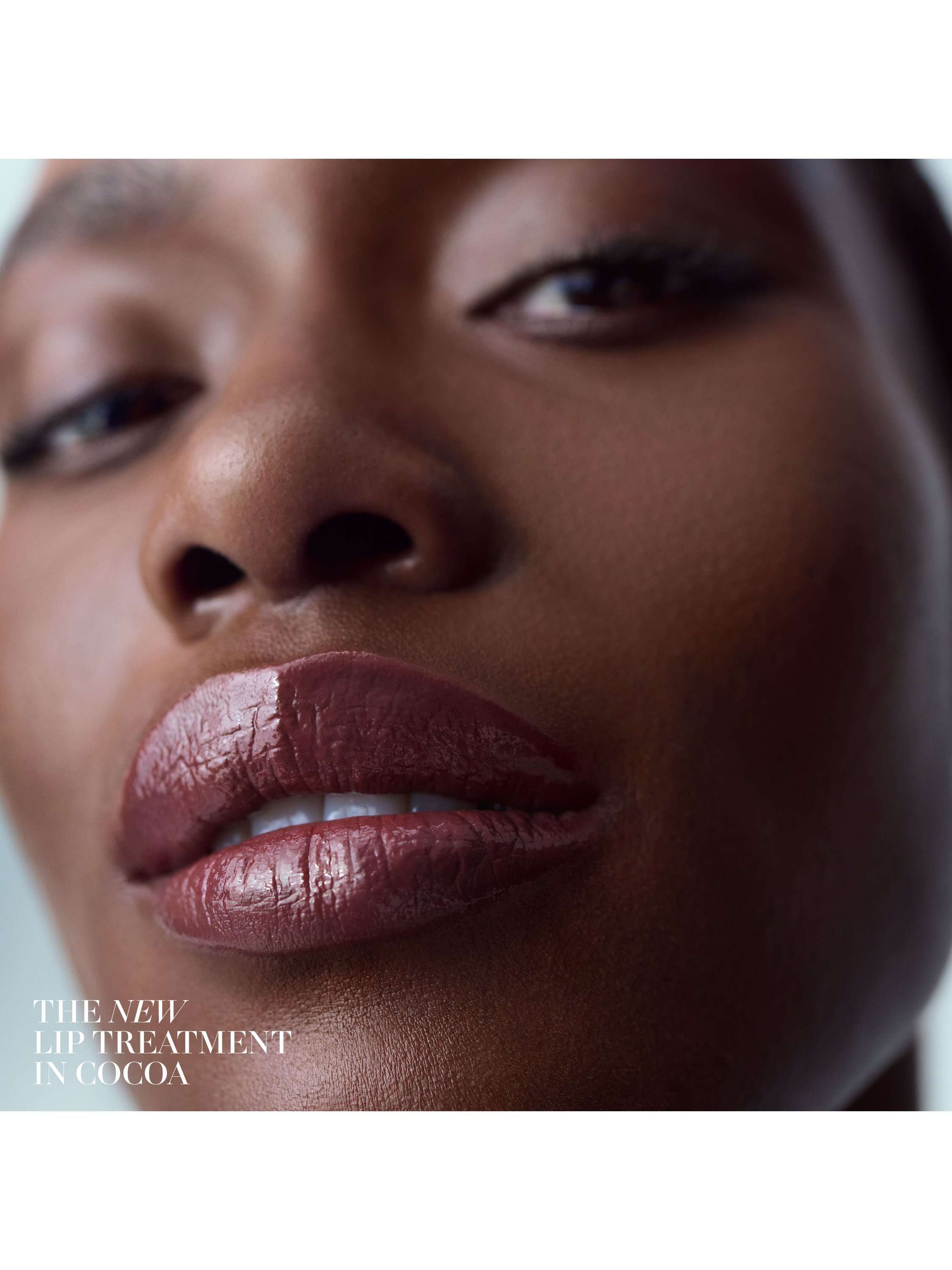 The Lip Treatment