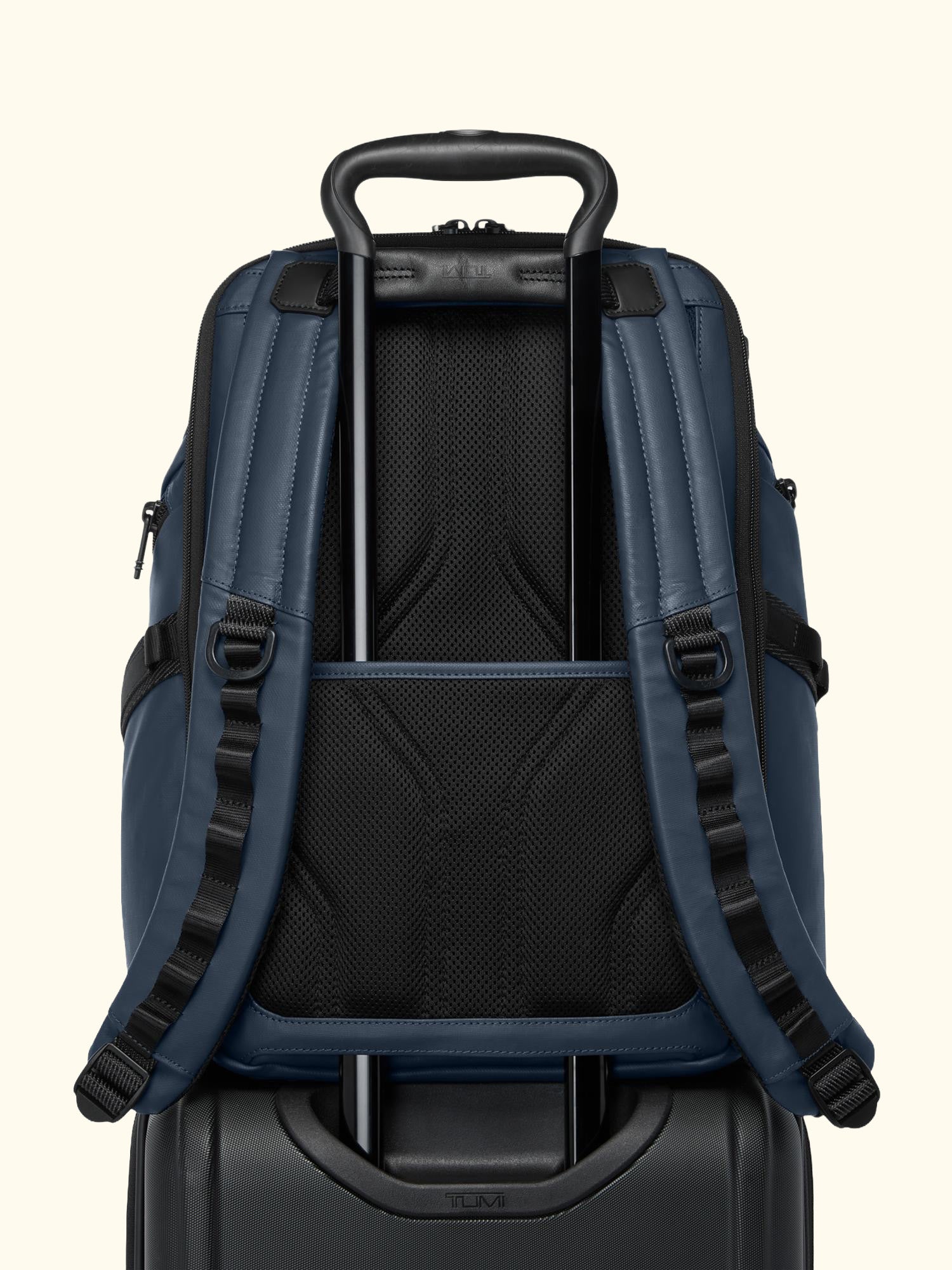 Search Backpack, Navy Coated Canvas
