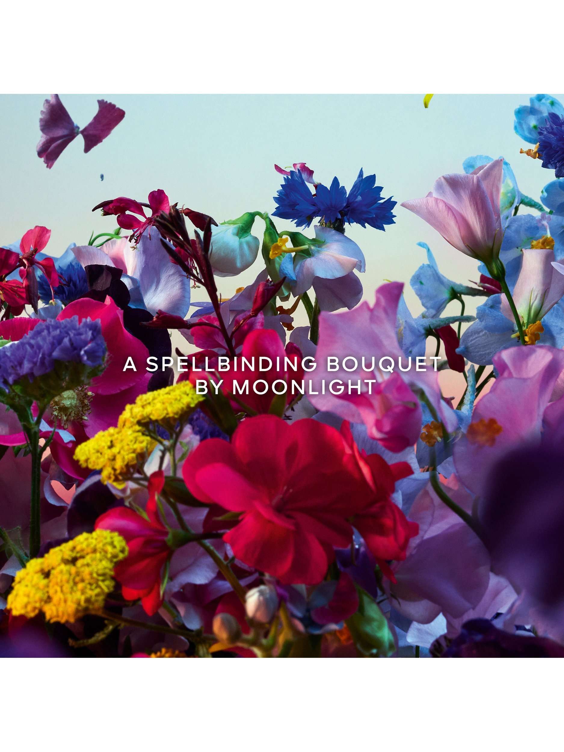 Absolus Allegoria Florabloom Eau de Parfum